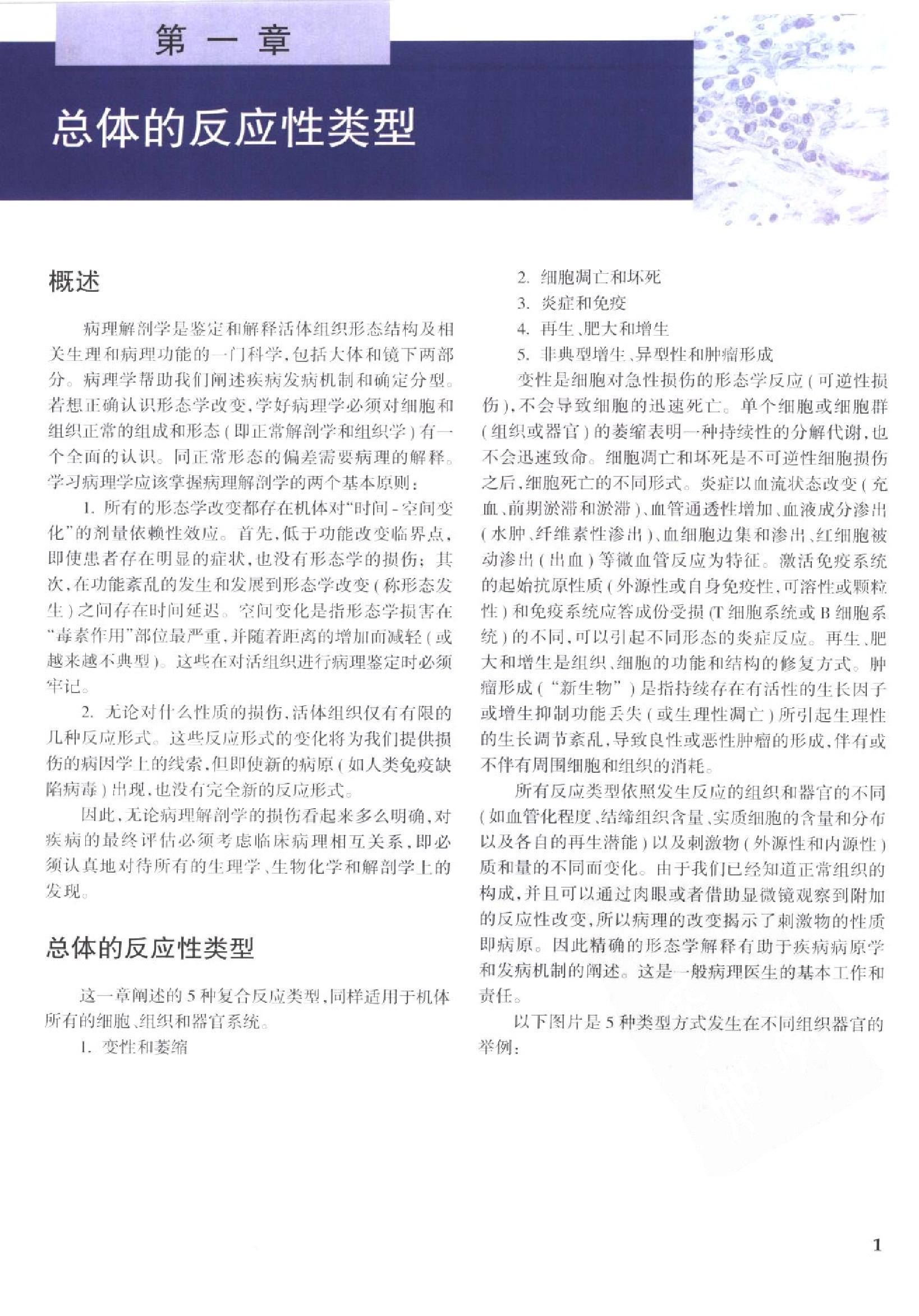 奈特病理学彩色图谱（高清中文版）.pdf_第20页