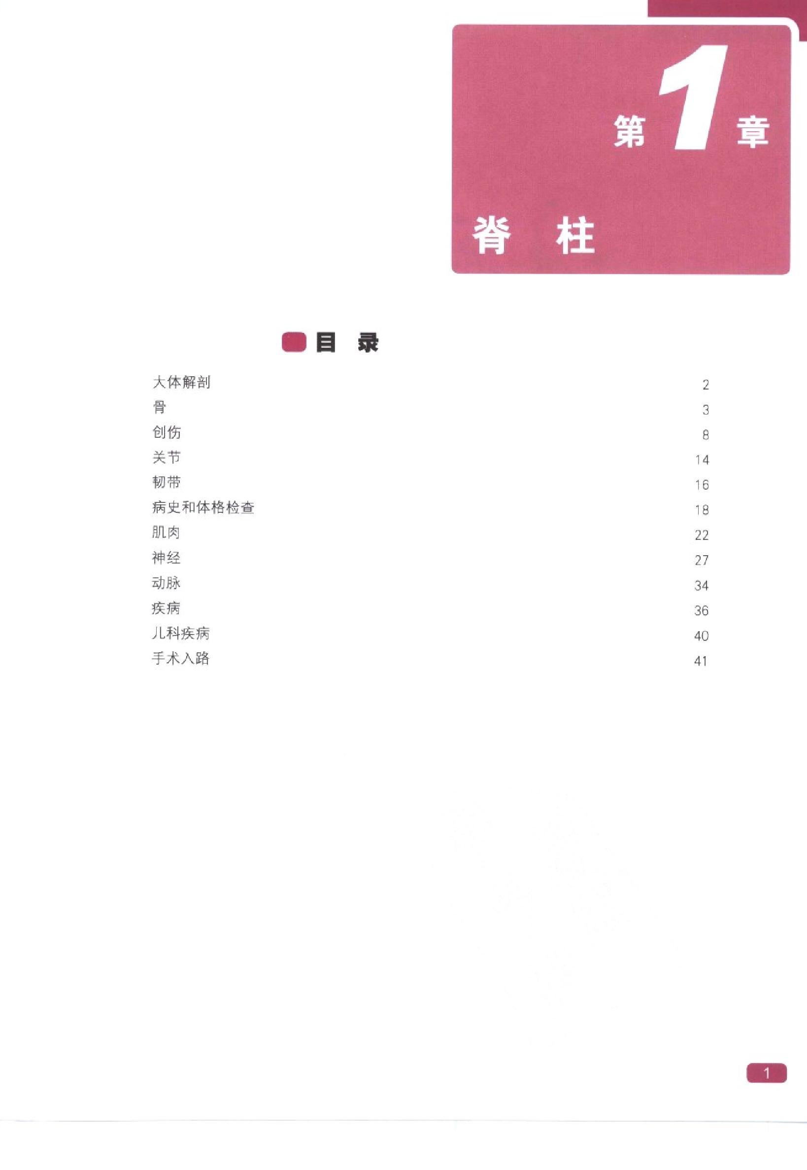 奈特简明骨科学彩色图谱（高清中文版）.pdf_第9页