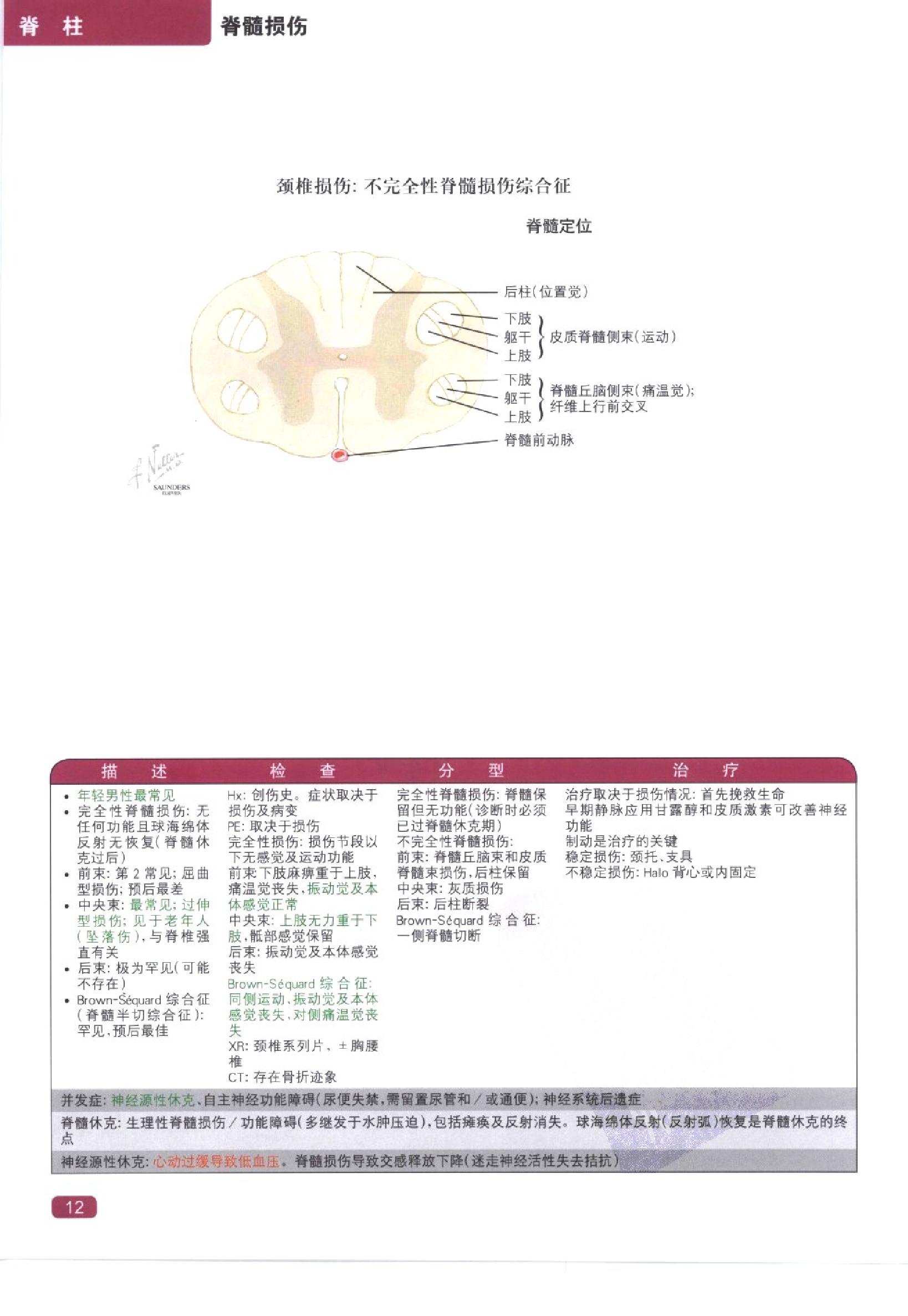 奈特简明骨科学彩色图谱（高清中文版）.pdf_第20页