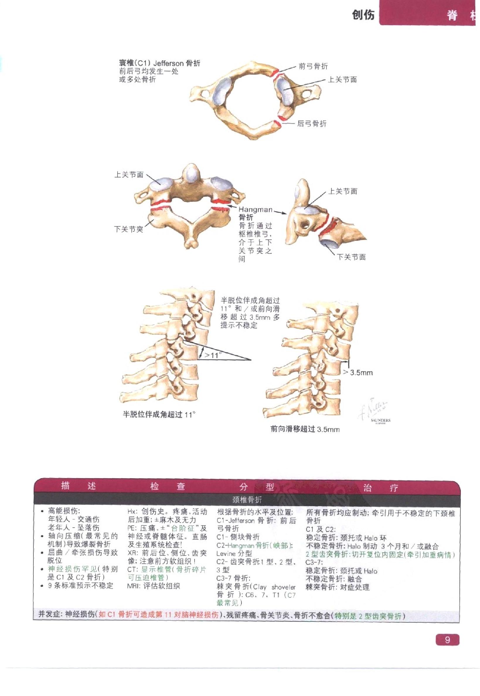 奈特简明骨科学彩色图谱（高清中文版）.pdf_第17页