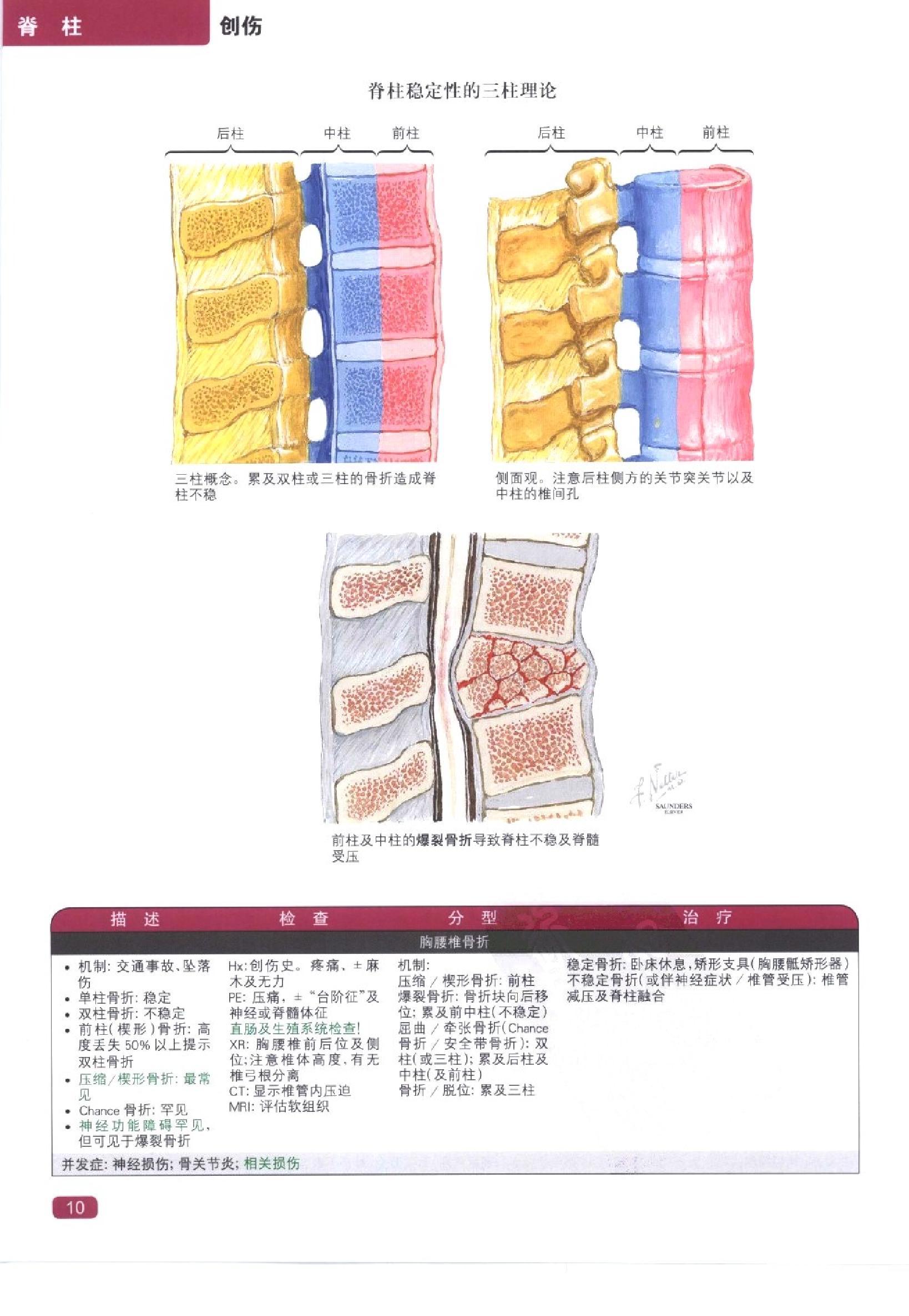 奈特简明骨科学彩色图谱（高清中文版）.pdf_第18页