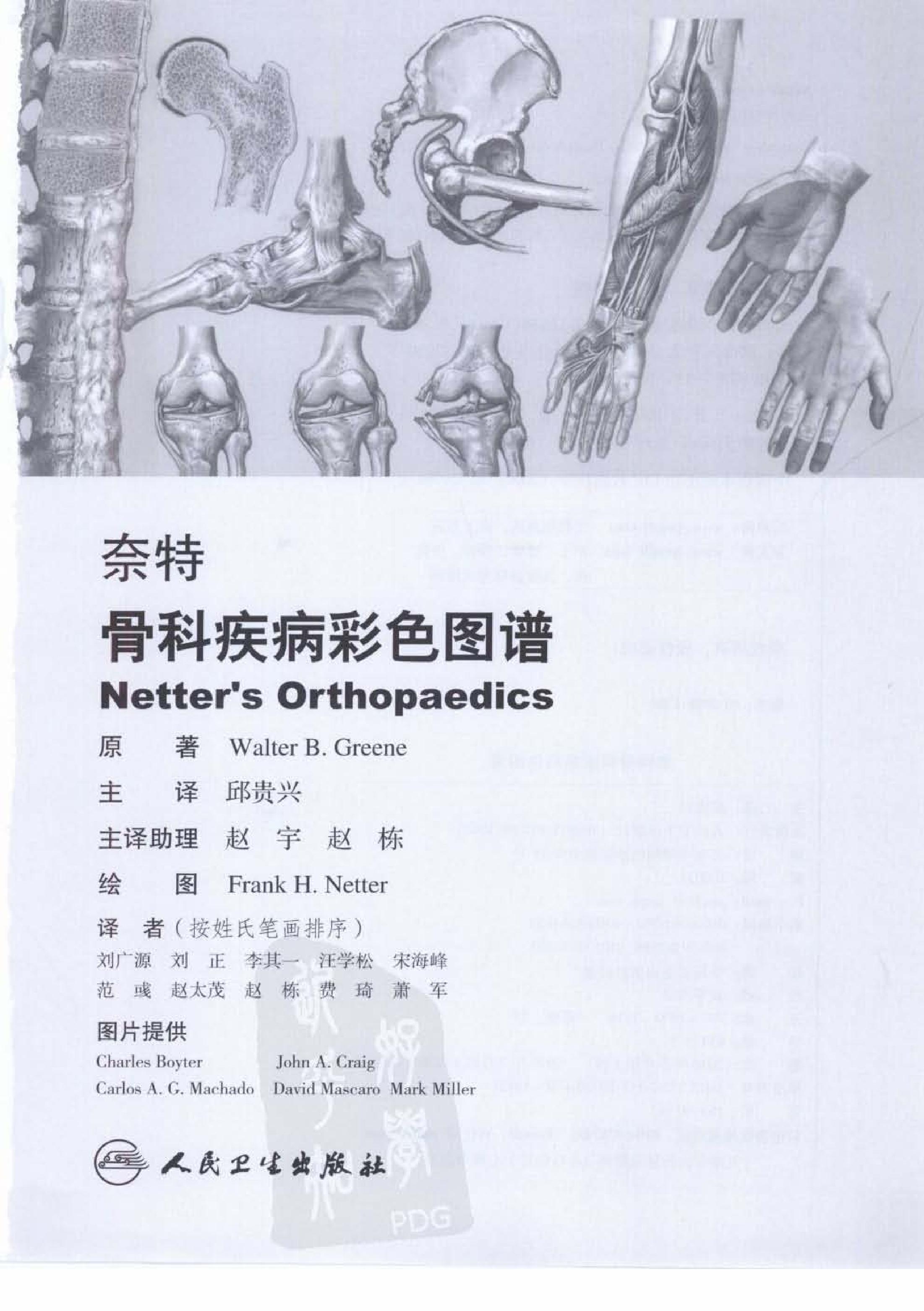 奈特骨科疾病彩色图谱（高清中文版）.pdf_第1页