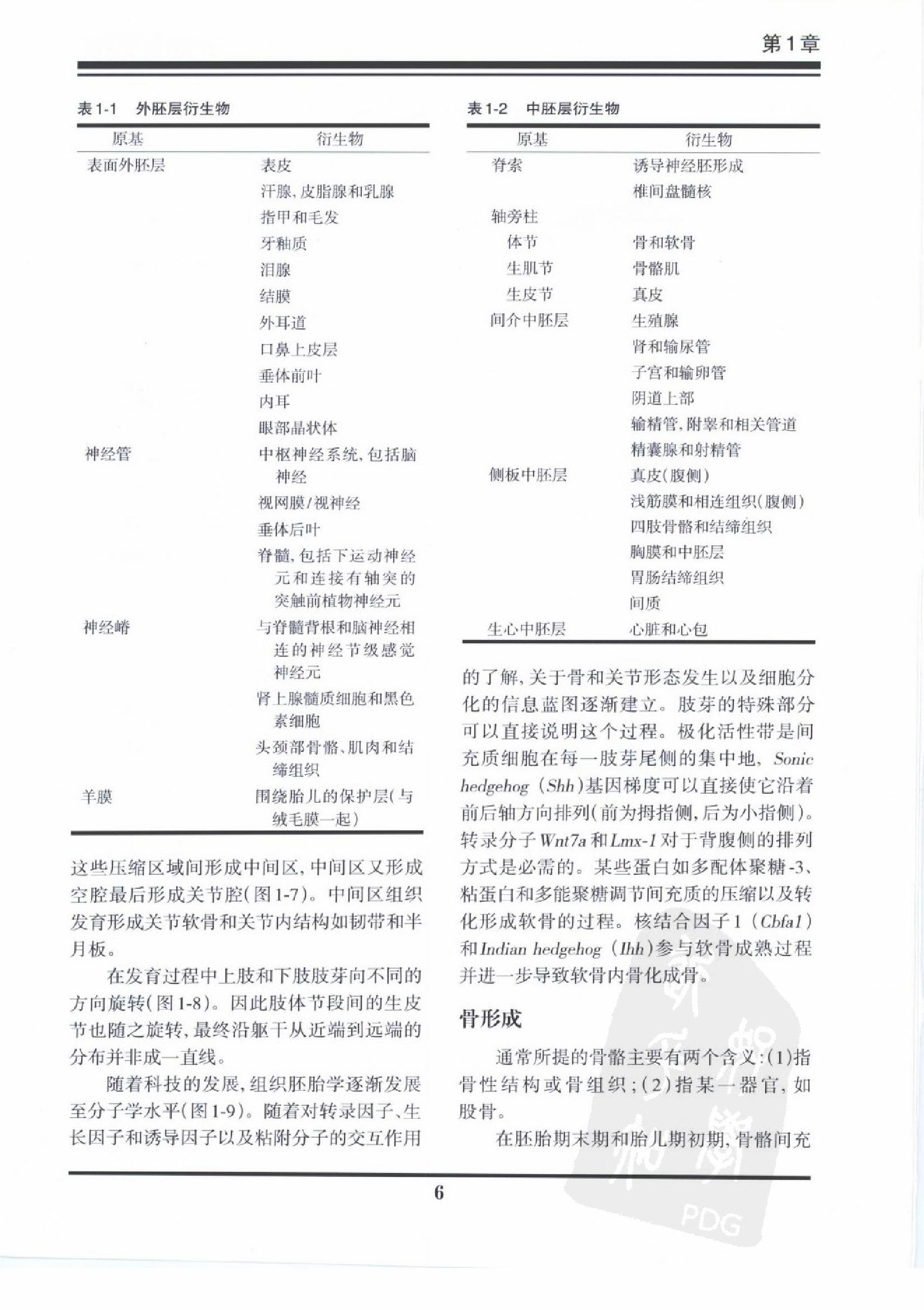 奈特骨科疾病彩色图谱（高清中文版）.pdf_第10页