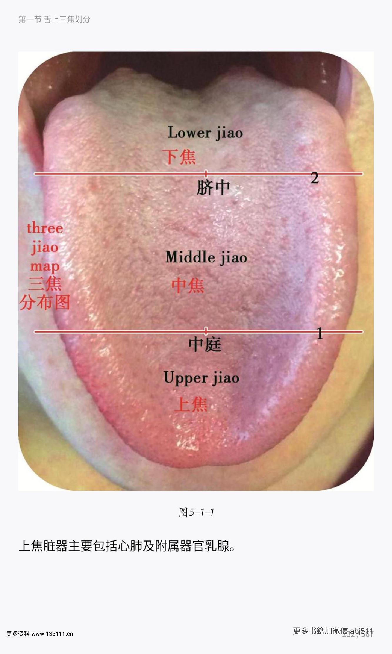 殷式舌诊.pdf_第3页