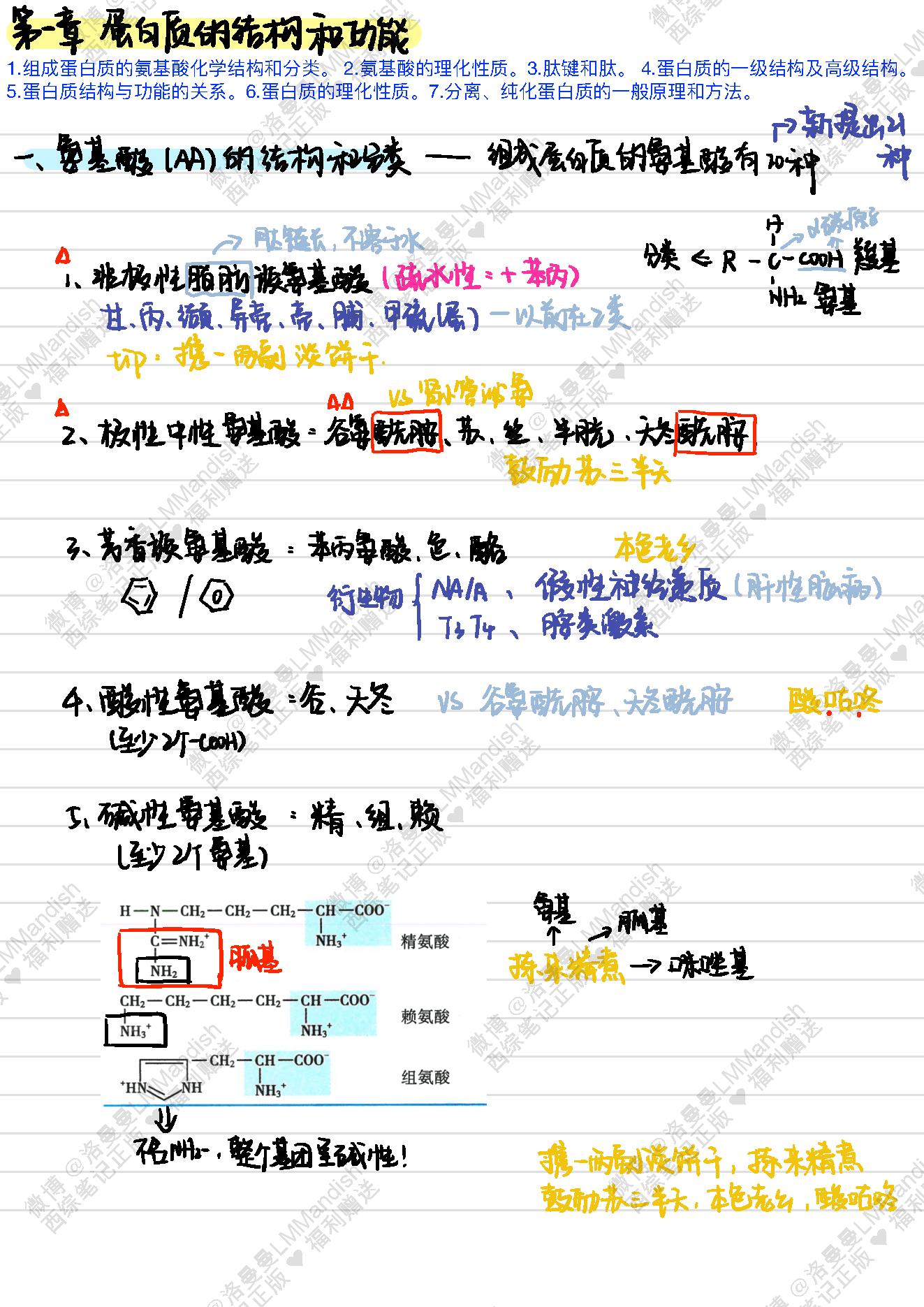 生化_西综笔记福利@洛曼曼LMMandish.pdf_第3页