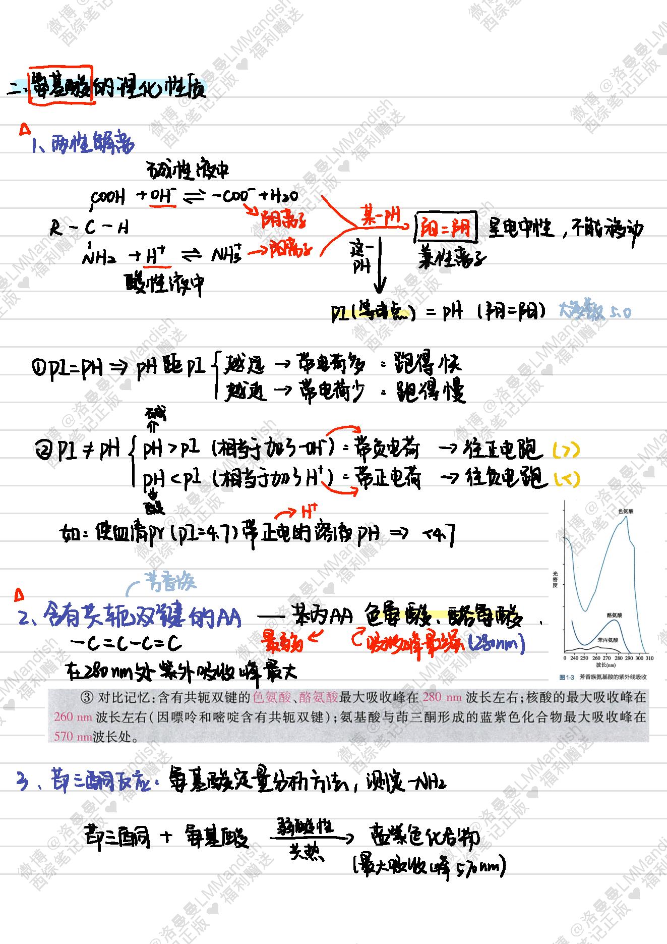 生化_西综笔记福利@洛曼曼LMMandish.pdf_第6页