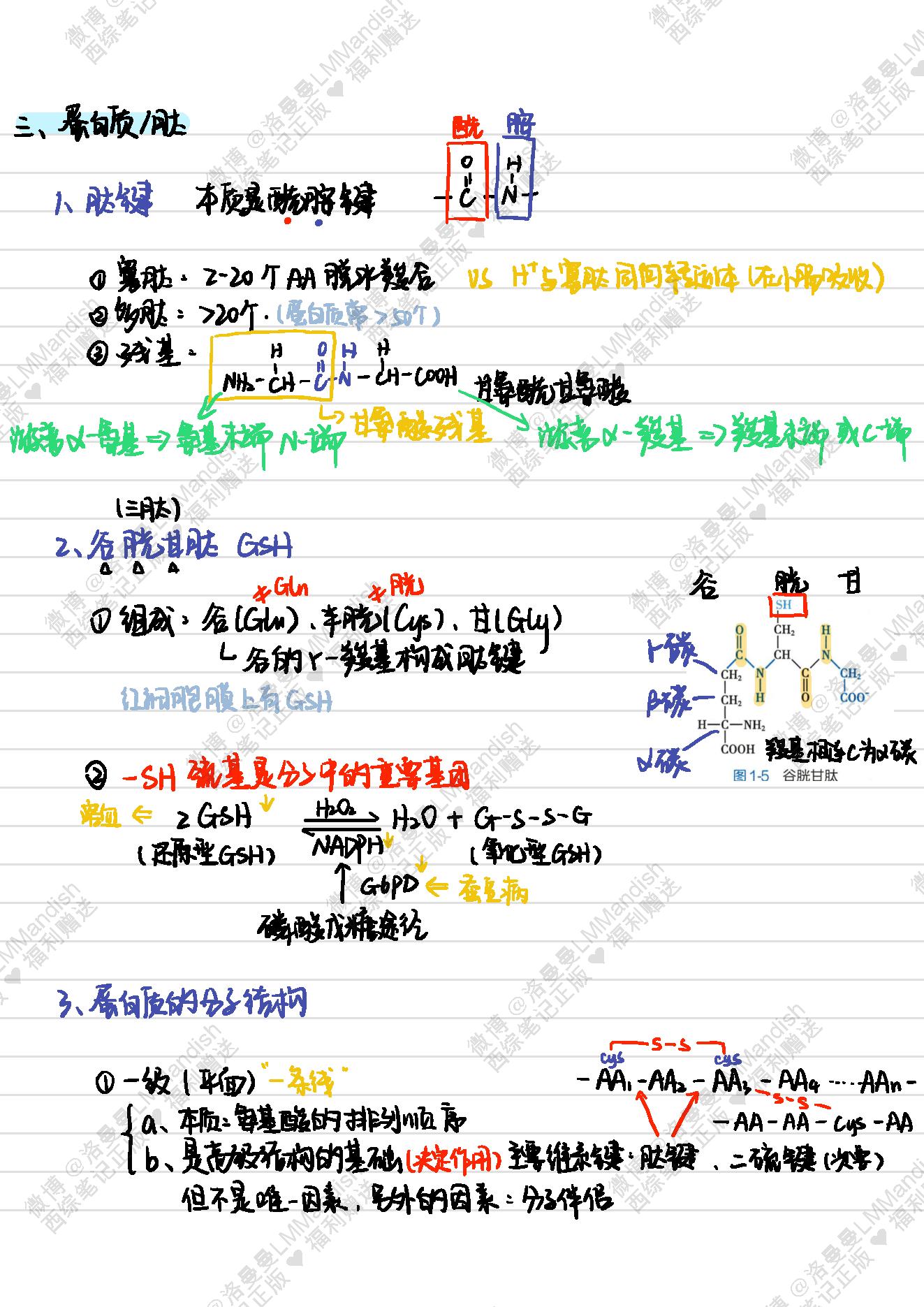 生化_西综笔记福利@洛曼曼LMMandish.pdf_第7页