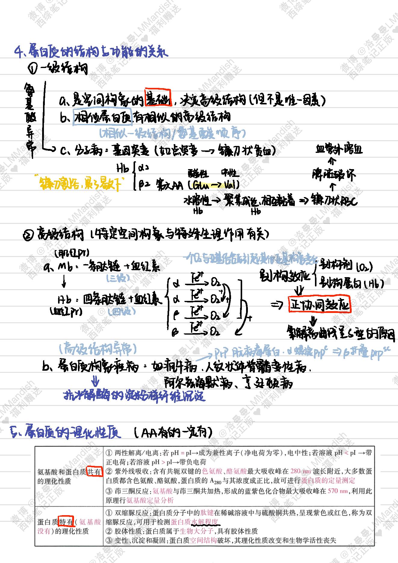 生化_西综笔记福利@洛曼曼LMMandish.pdf_第9页