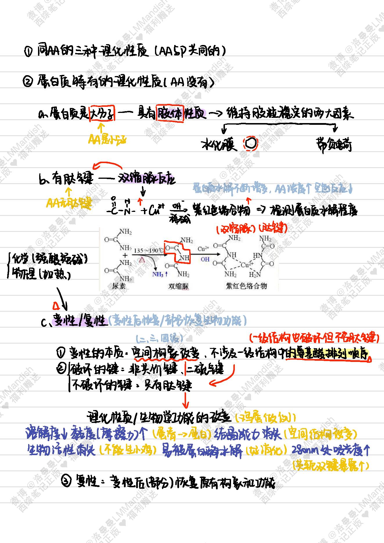 生化_西综笔记福利@洛曼曼LMMandish.pdf_第10页