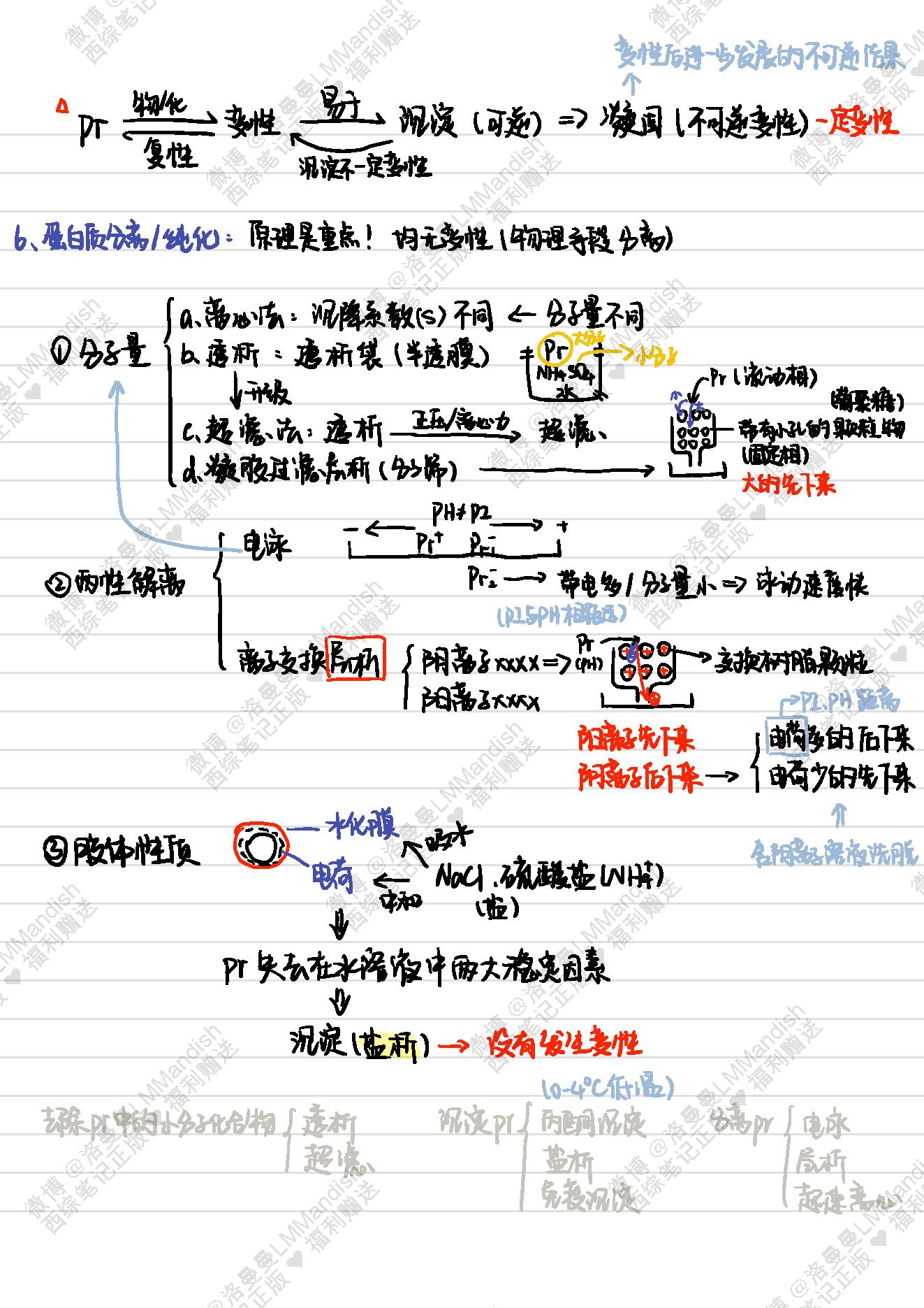 生化_西综笔记福利@洛曼曼LMMandish.pdf_第11页