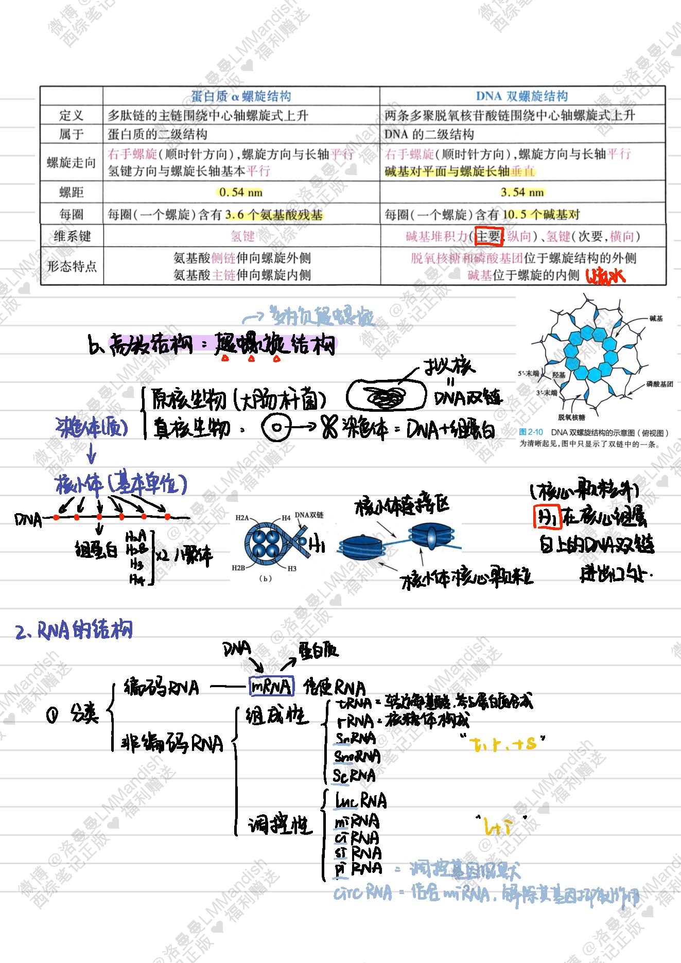 生化_西综笔记福利@洛曼曼LMMandish.pdf_第14页