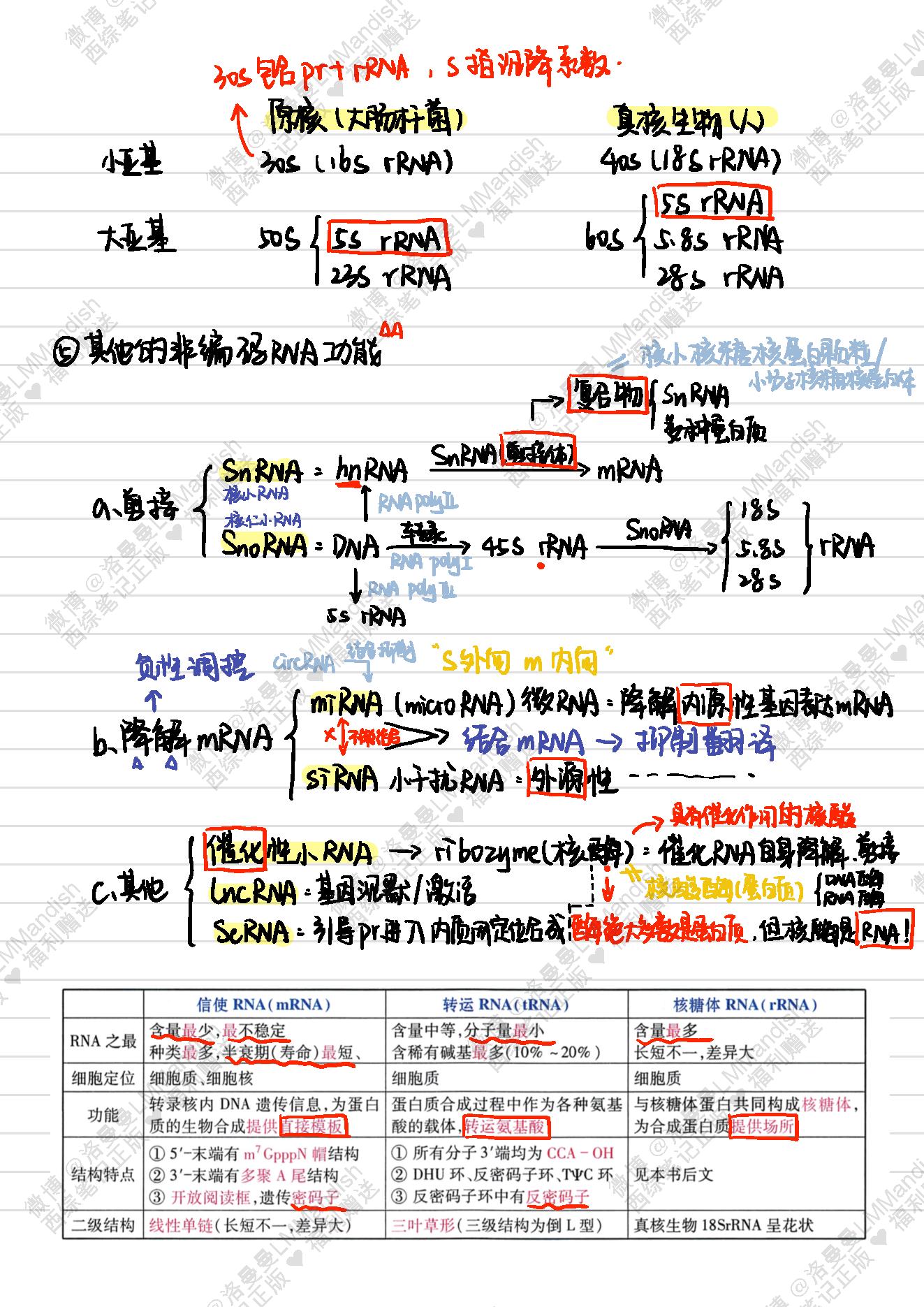 生化_西综笔记福利@洛曼曼LMMandish.pdf_第16页