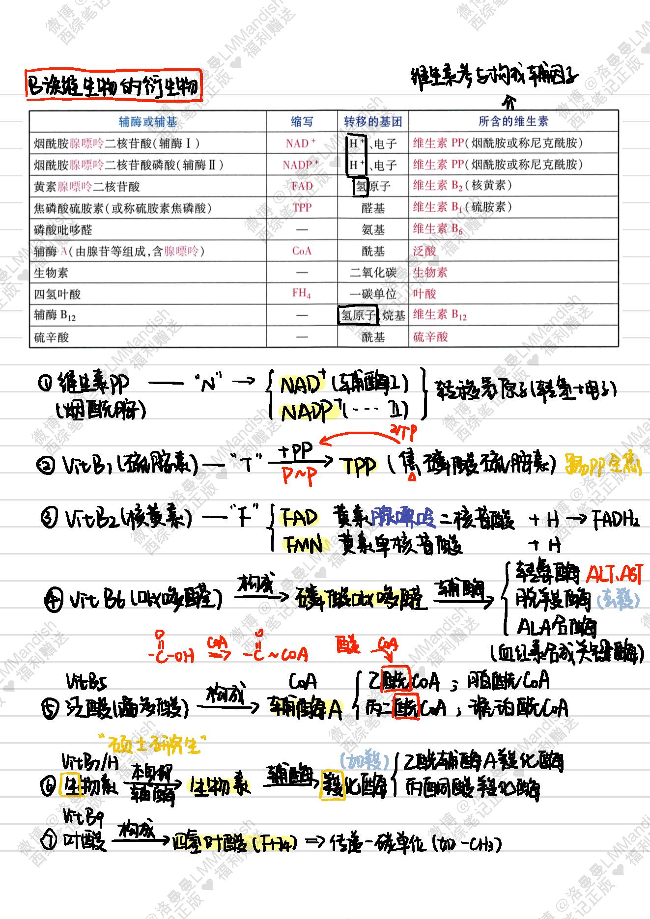 生化_西综笔记福利@洛曼曼LMMandish.pdf_第20页