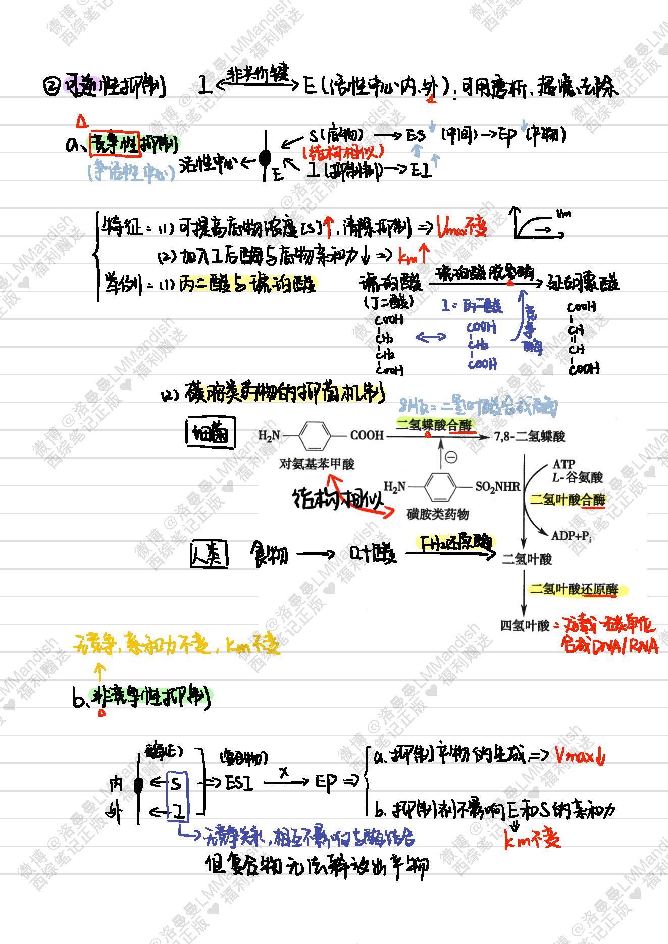 生化_西综笔记福利@洛曼曼LMMandish.pdf_第25页