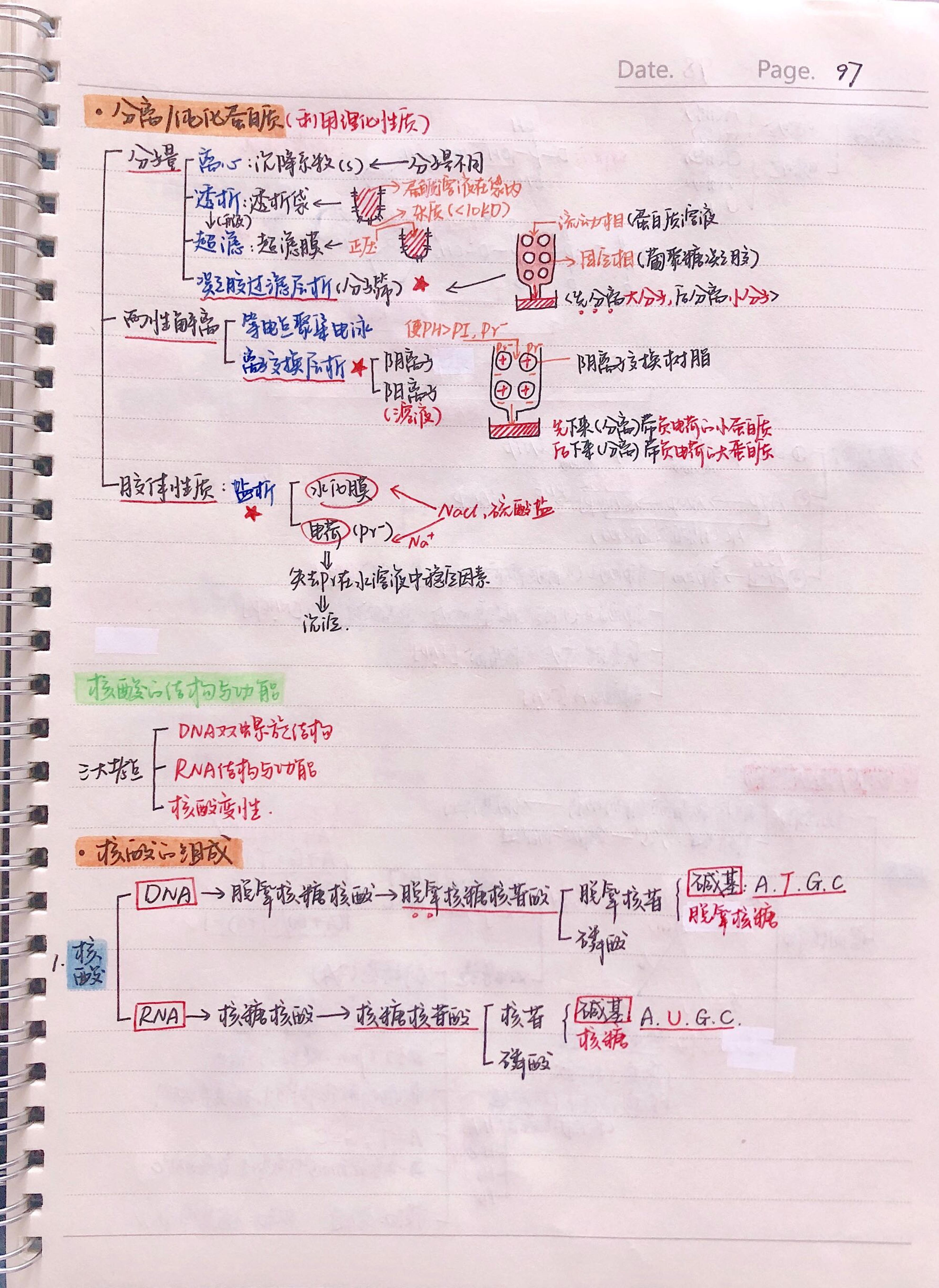 生化手写笔记.pdf_第4页