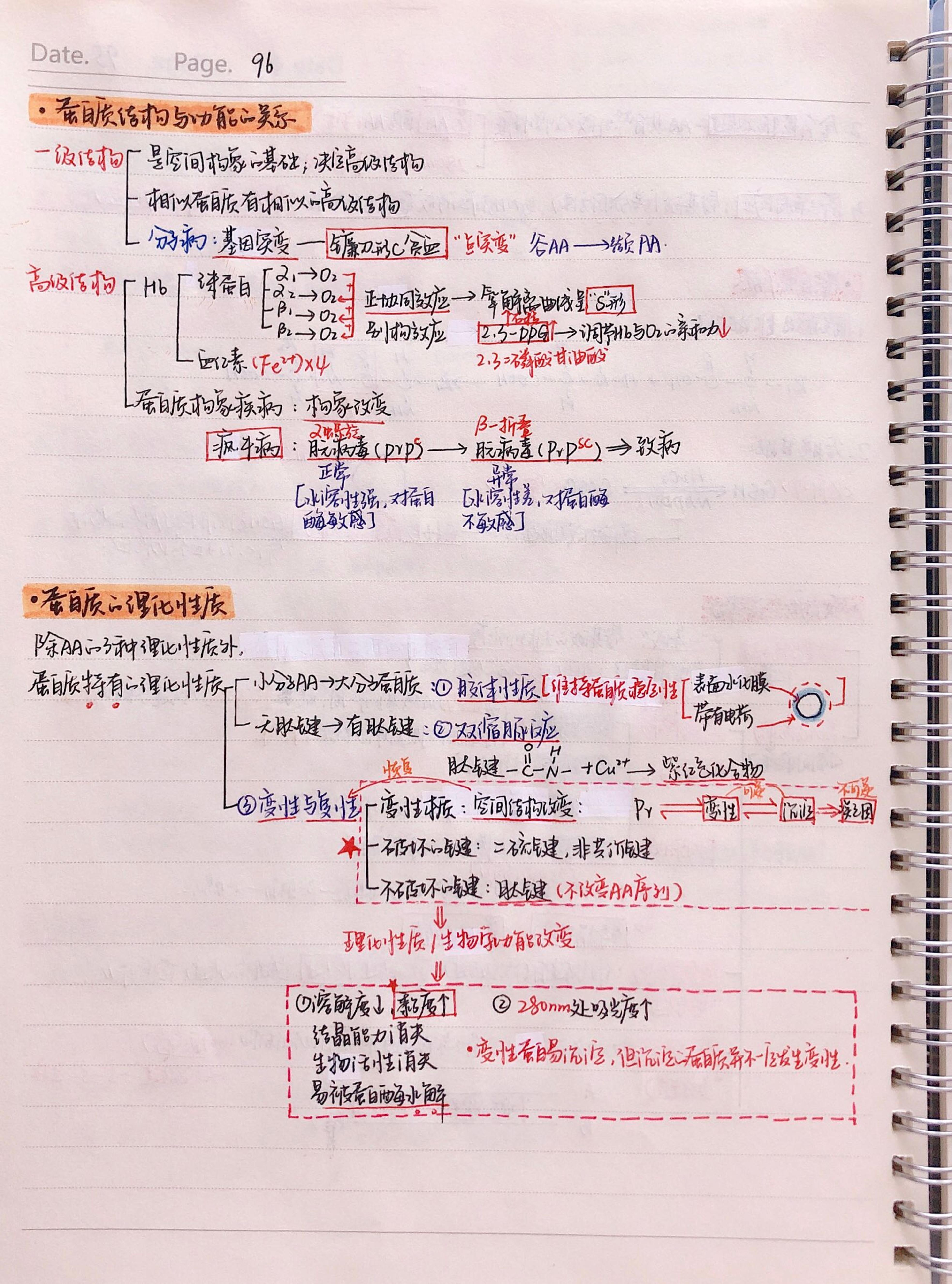 生化手写笔记.pdf_第3页