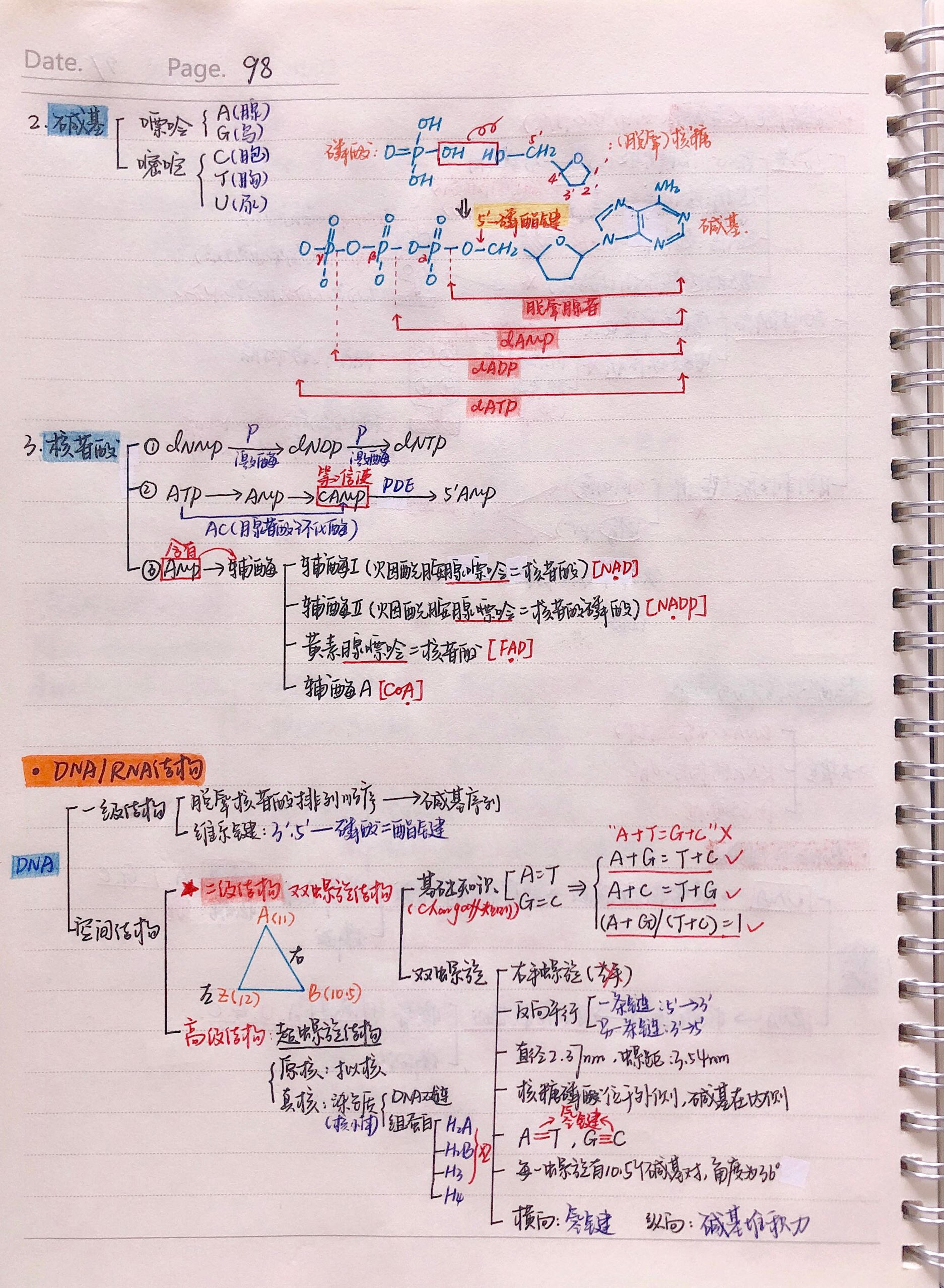 生化手写笔记.pdf_第5页