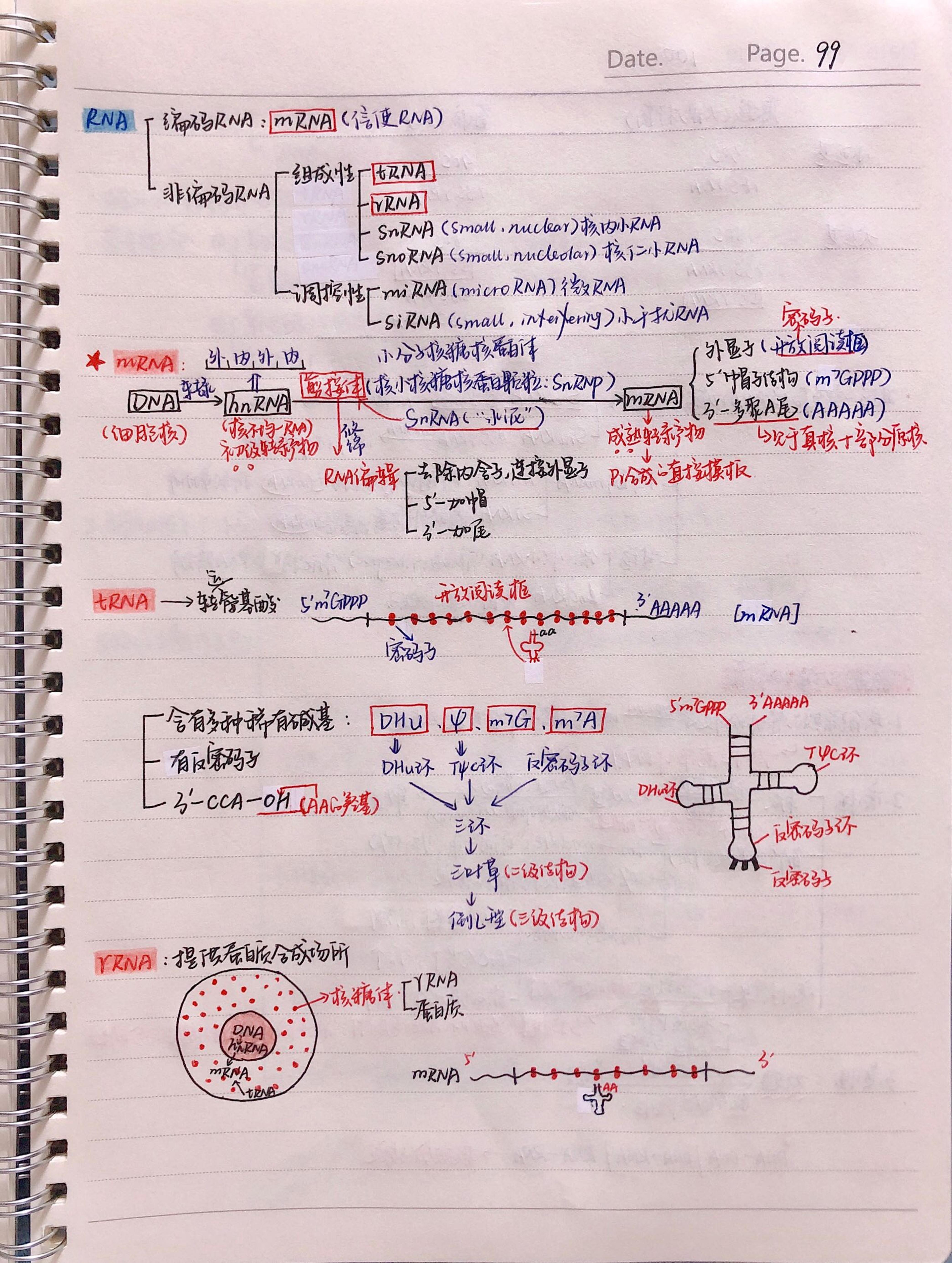 生化手写笔记.pdf_第6页