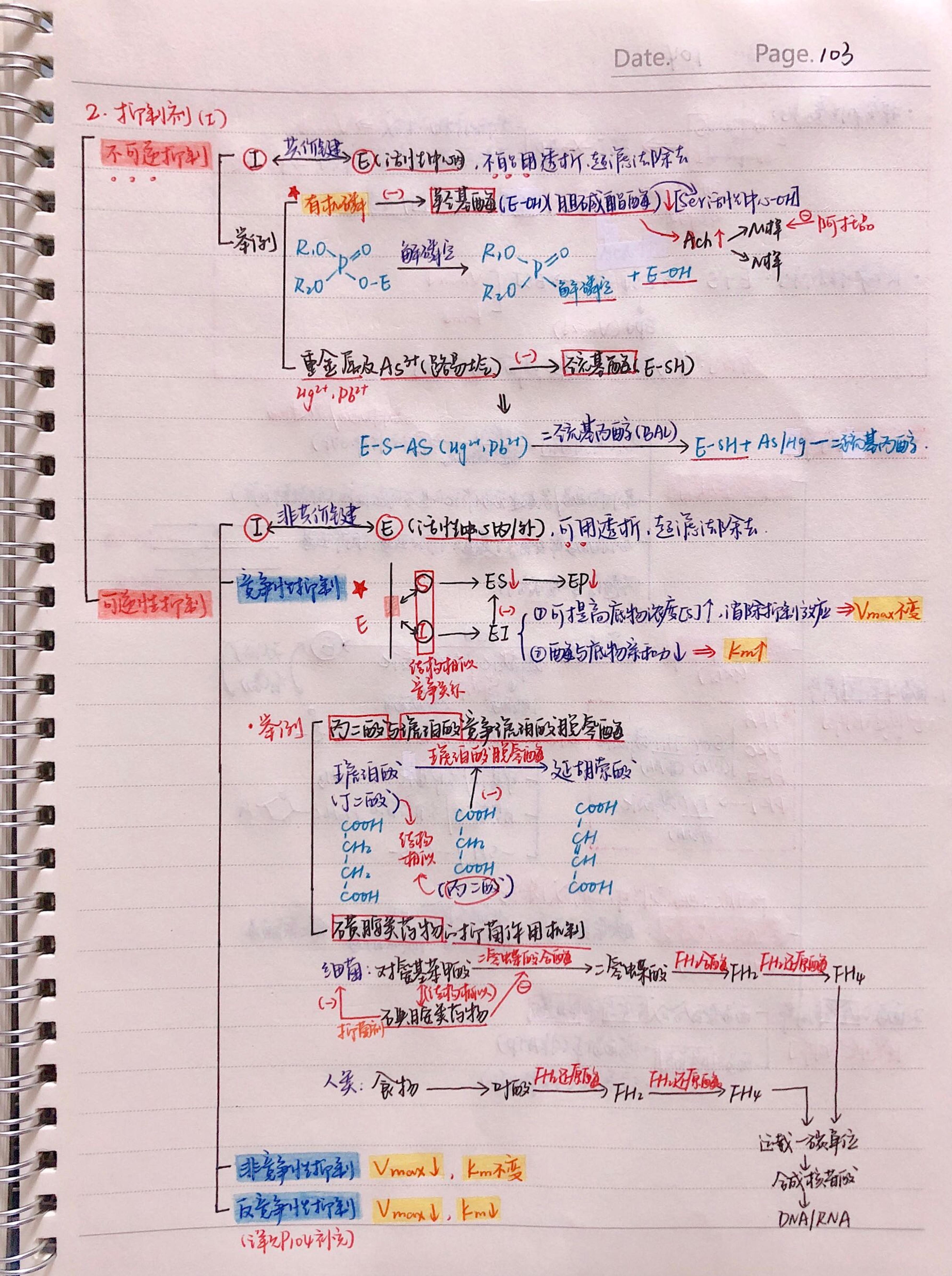 生化手写笔记.pdf_第10页