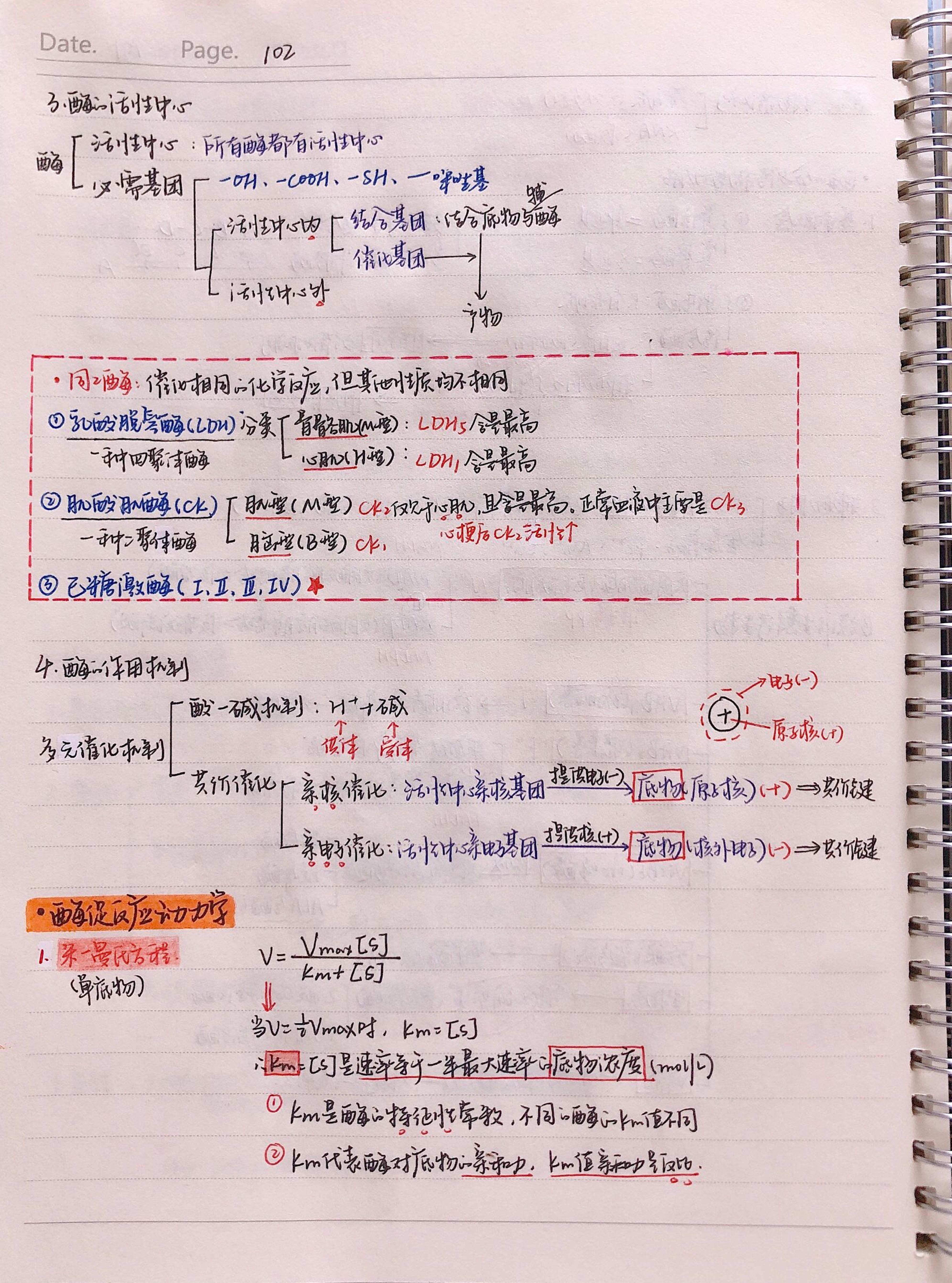 生化手写笔记.pdf_第9页