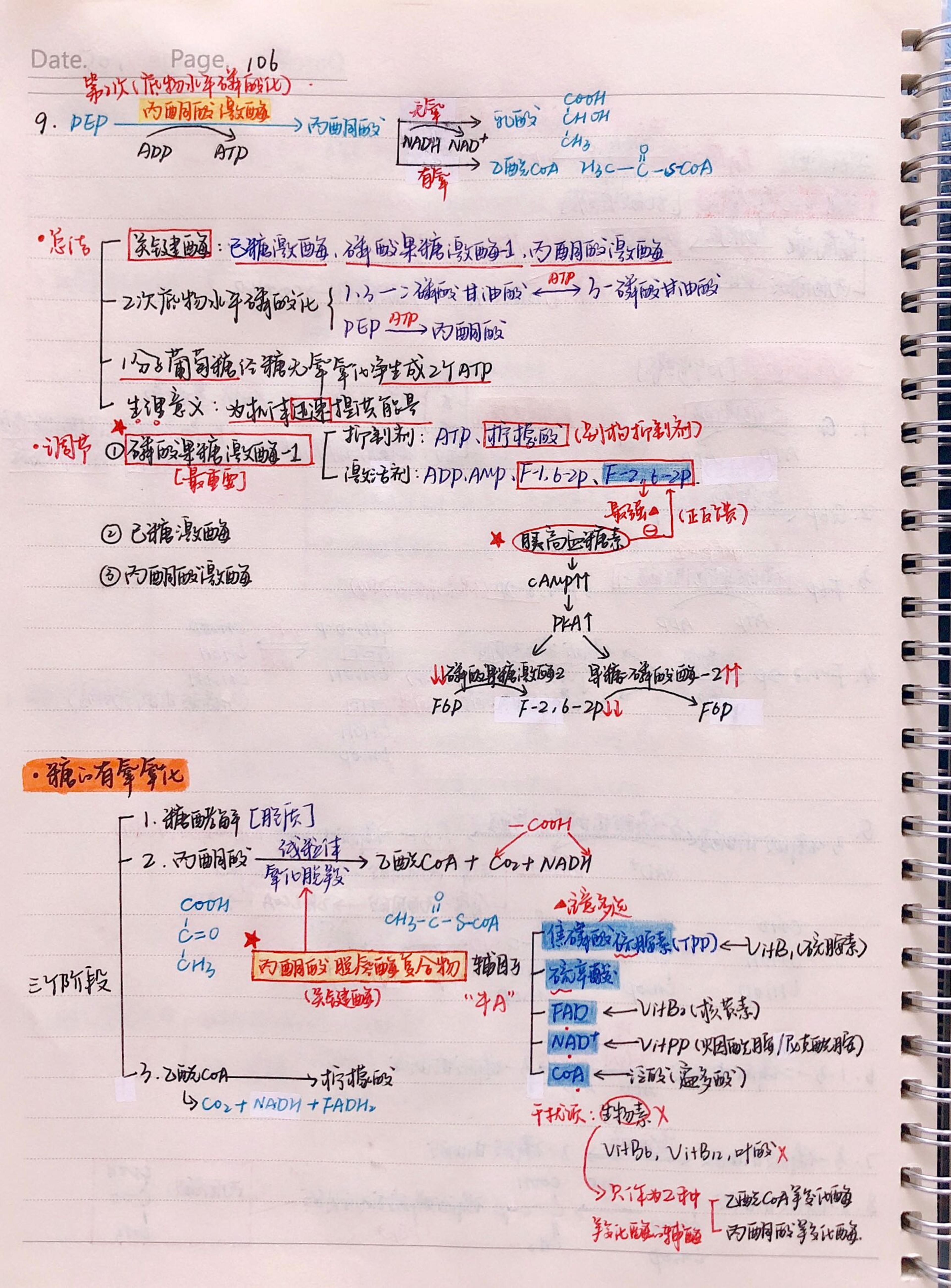 生化手写笔记.pdf_第13页