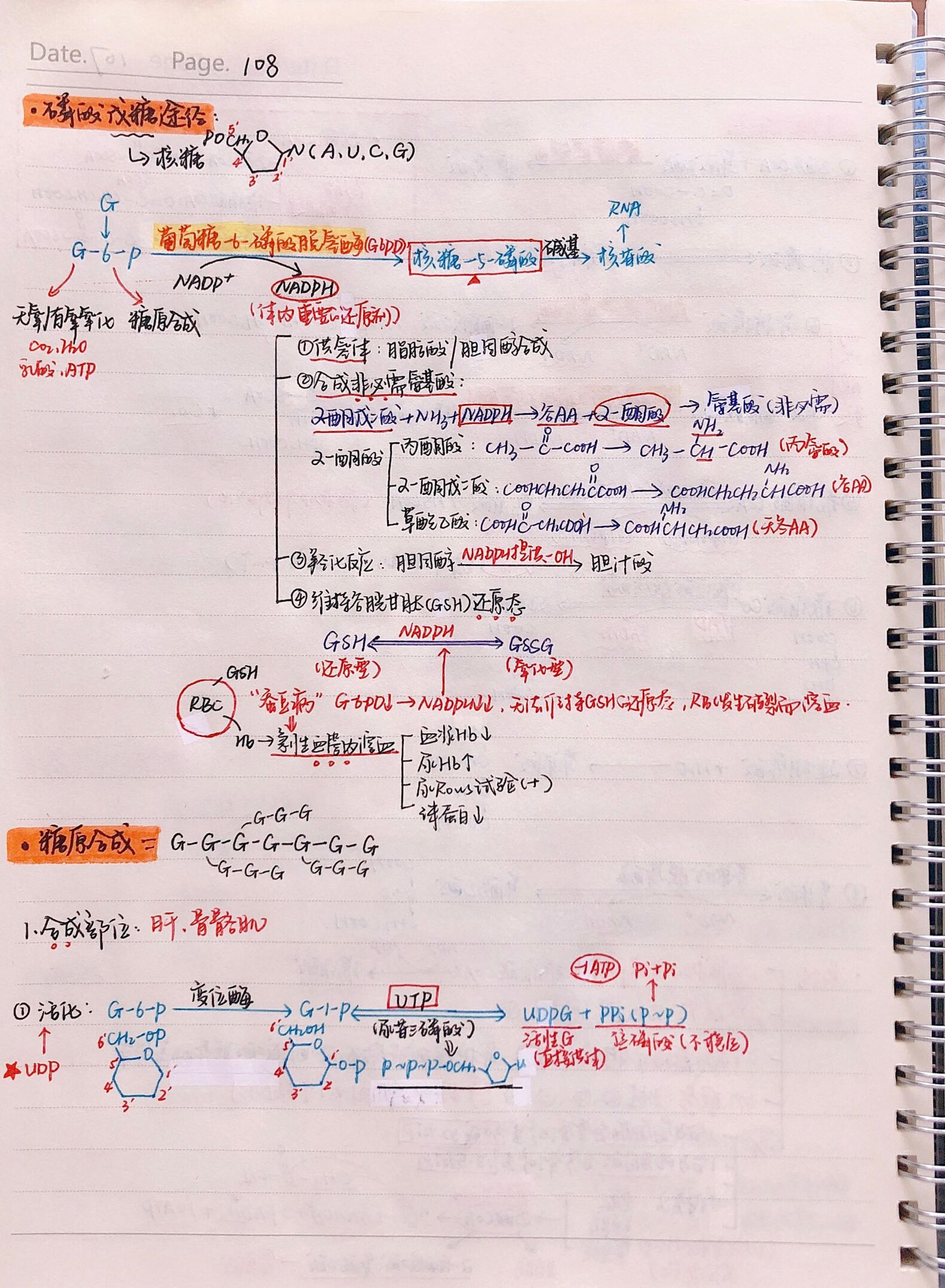 生化手写笔记.pdf_第15页