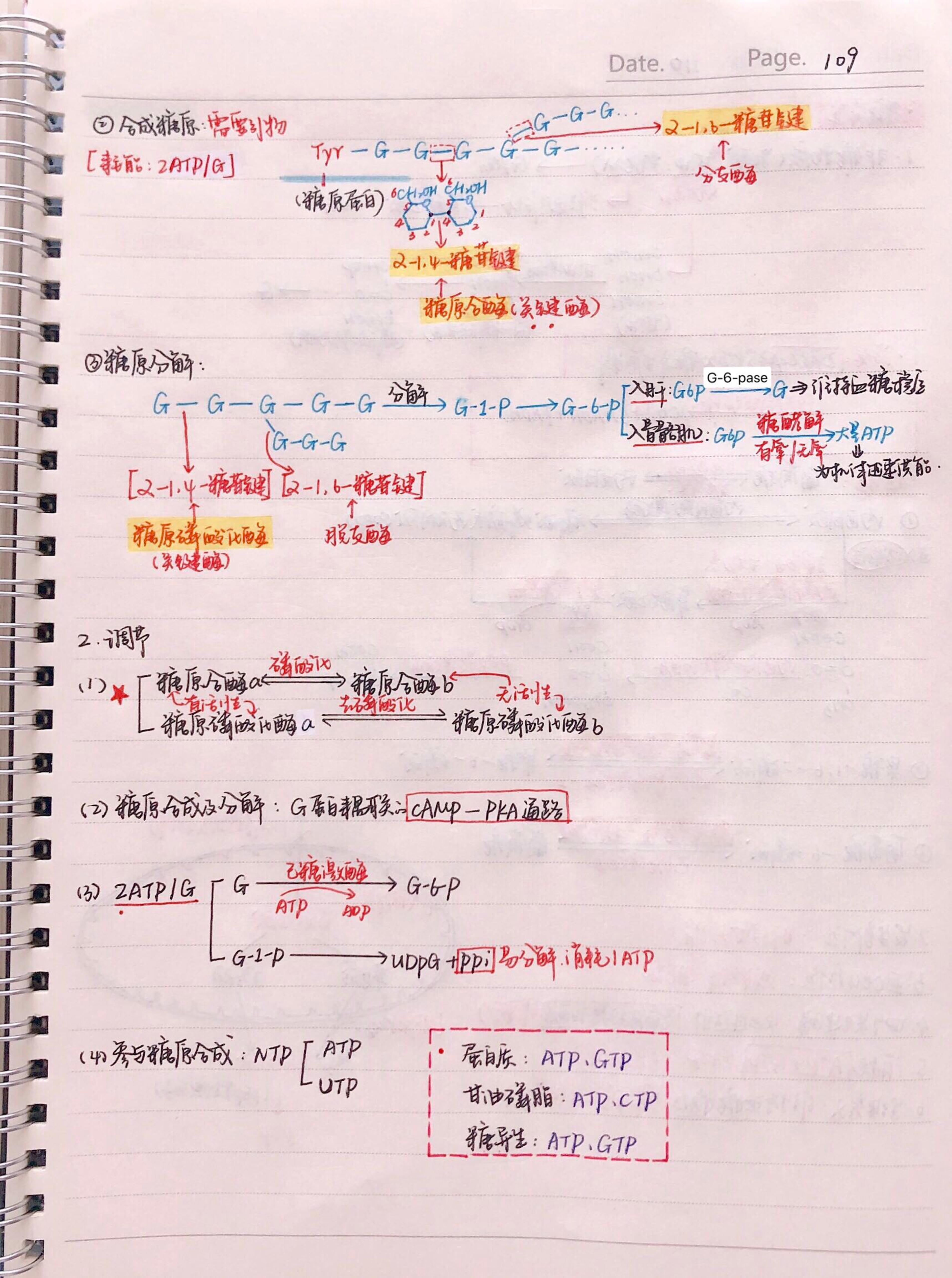 生化手写笔记.pdf_第16页