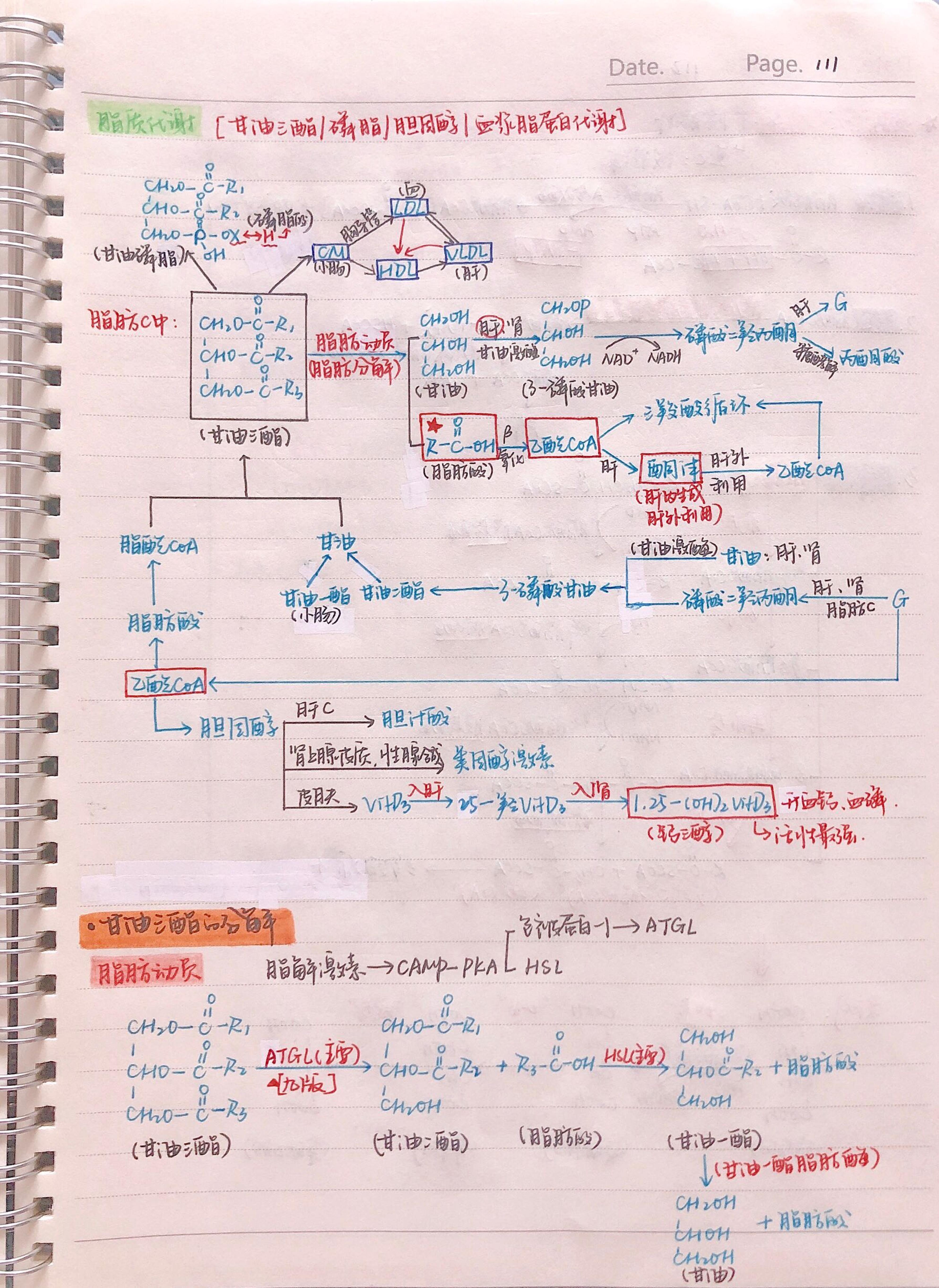 生化手写笔记.pdf_第18页