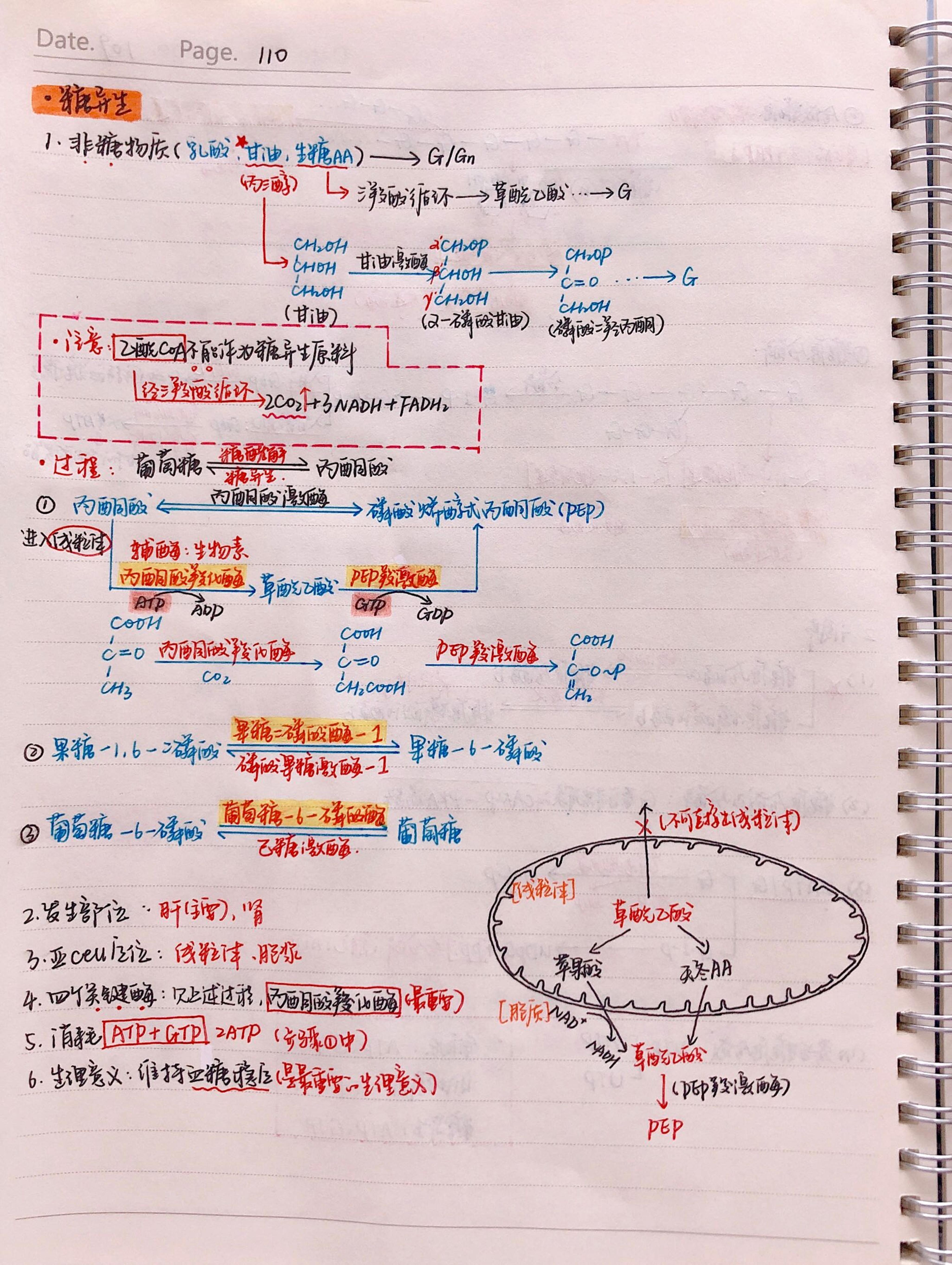 生化手写笔记.pdf_第17页