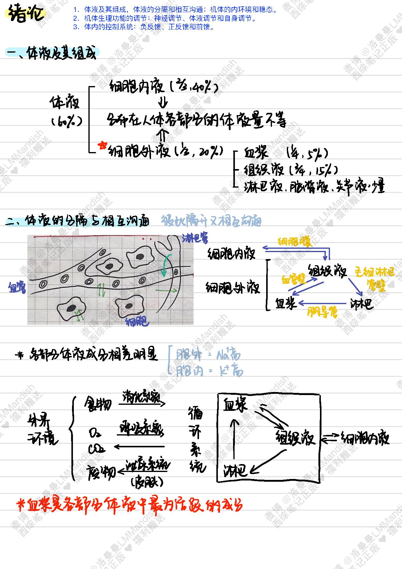 生理_西综笔记福利@洛曼曼LMMandish.pdf_第2页