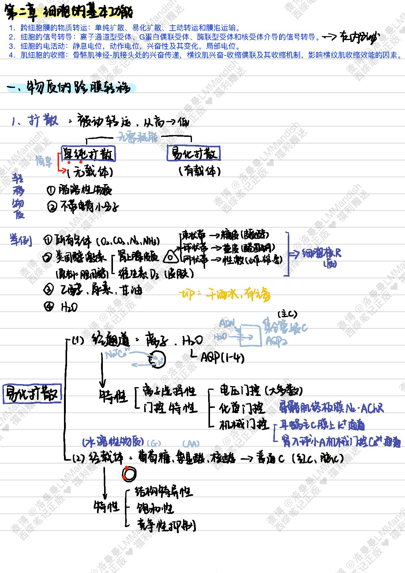 生理_西综笔记福利@洛曼曼LMMandish.pdf_第7页