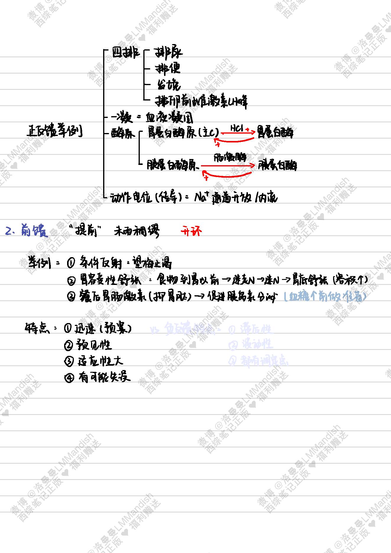 生理_西综笔记福利@洛曼曼LMMandish.pdf_第6页