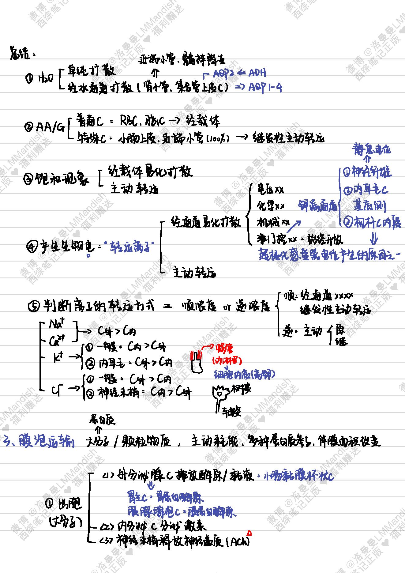 生理_西综笔记福利@洛曼曼LMMandish.pdf_第9页