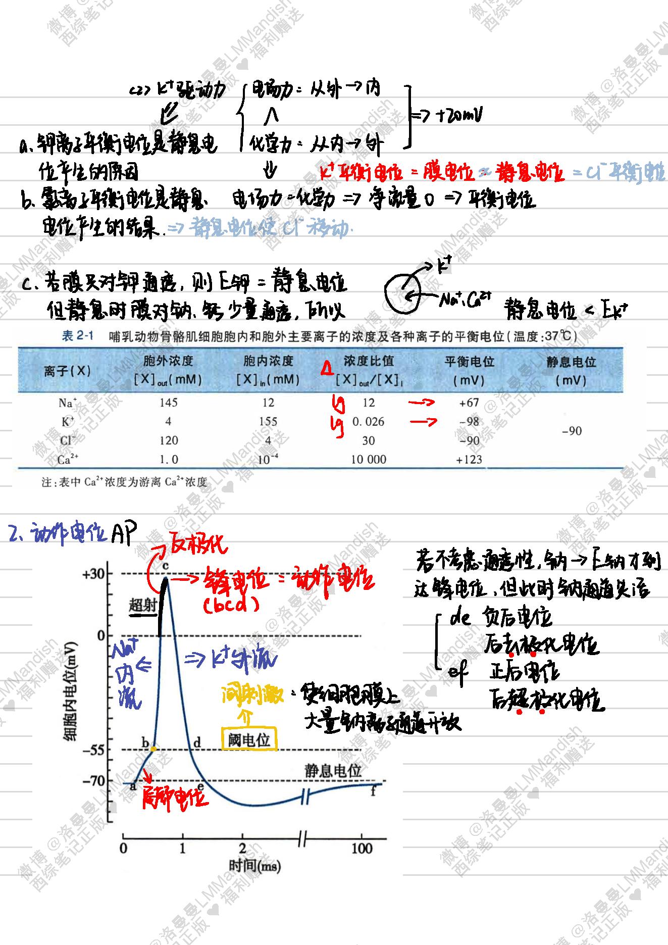 生理_西综笔记福利@洛曼曼LMMandish.pdf_第11页