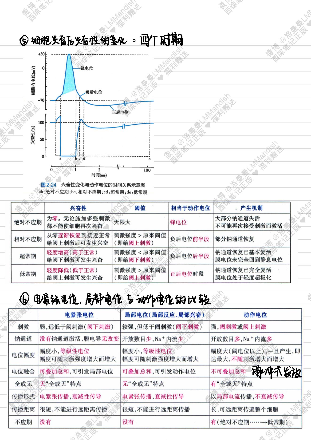 生理_西综笔记福利@洛曼曼LMMandish.pdf_第14页