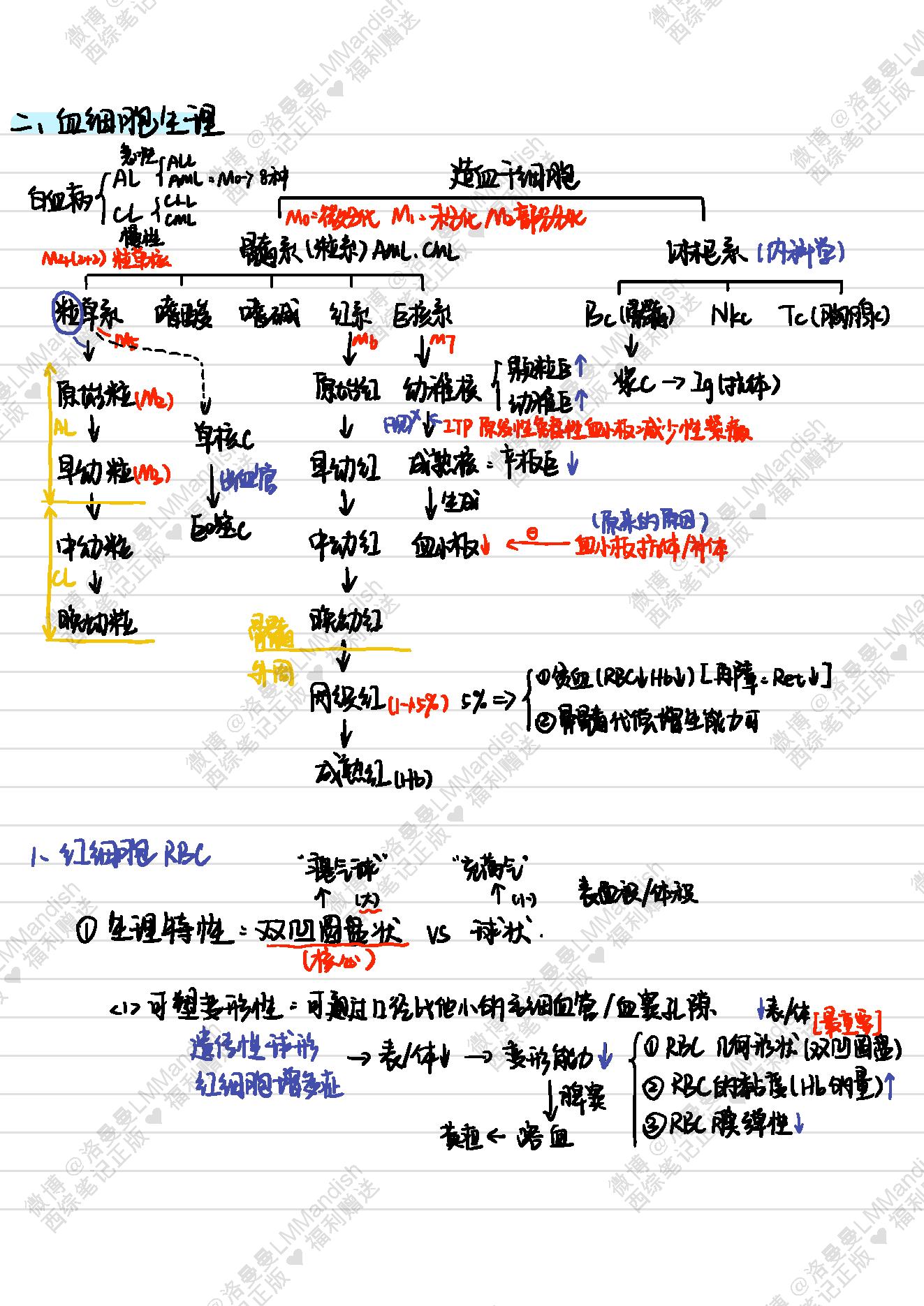 生理_西综笔记福利@洛曼曼LMMandish.pdf_第21页