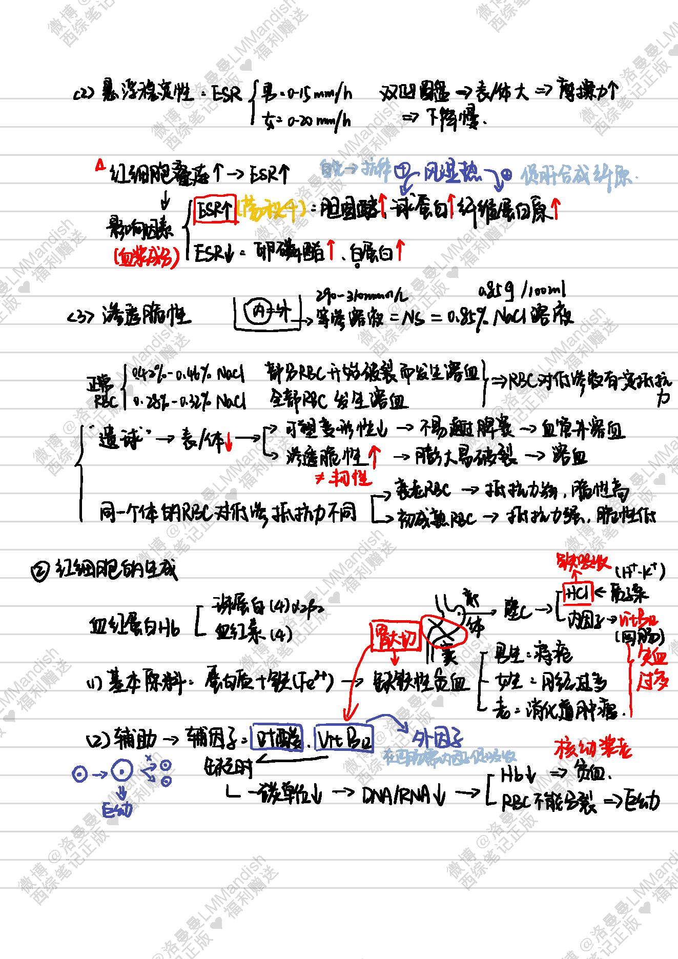 生理_西综笔记福利@洛曼曼LMMandish.pdf_第22页