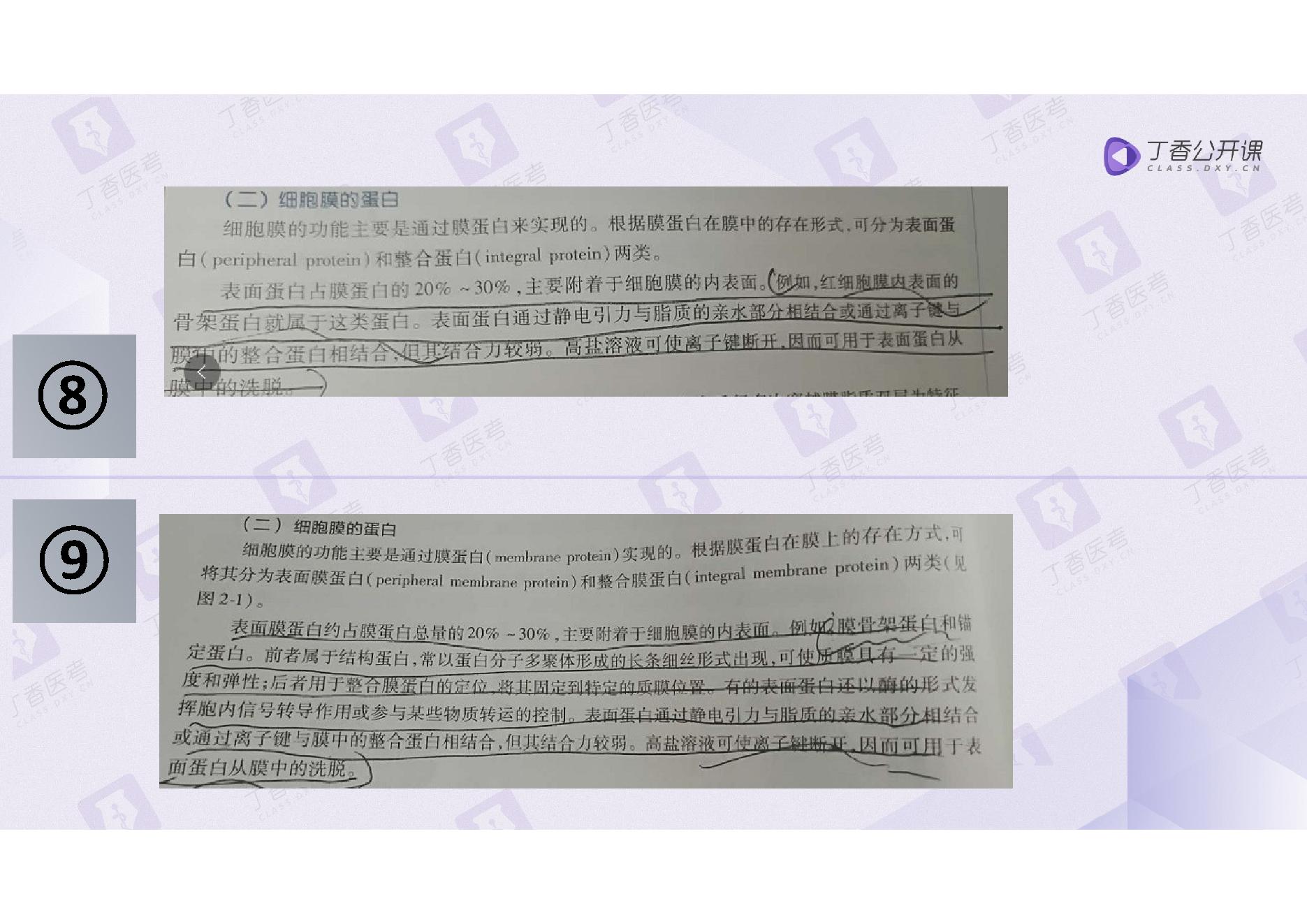 生理学.pdf_第10页