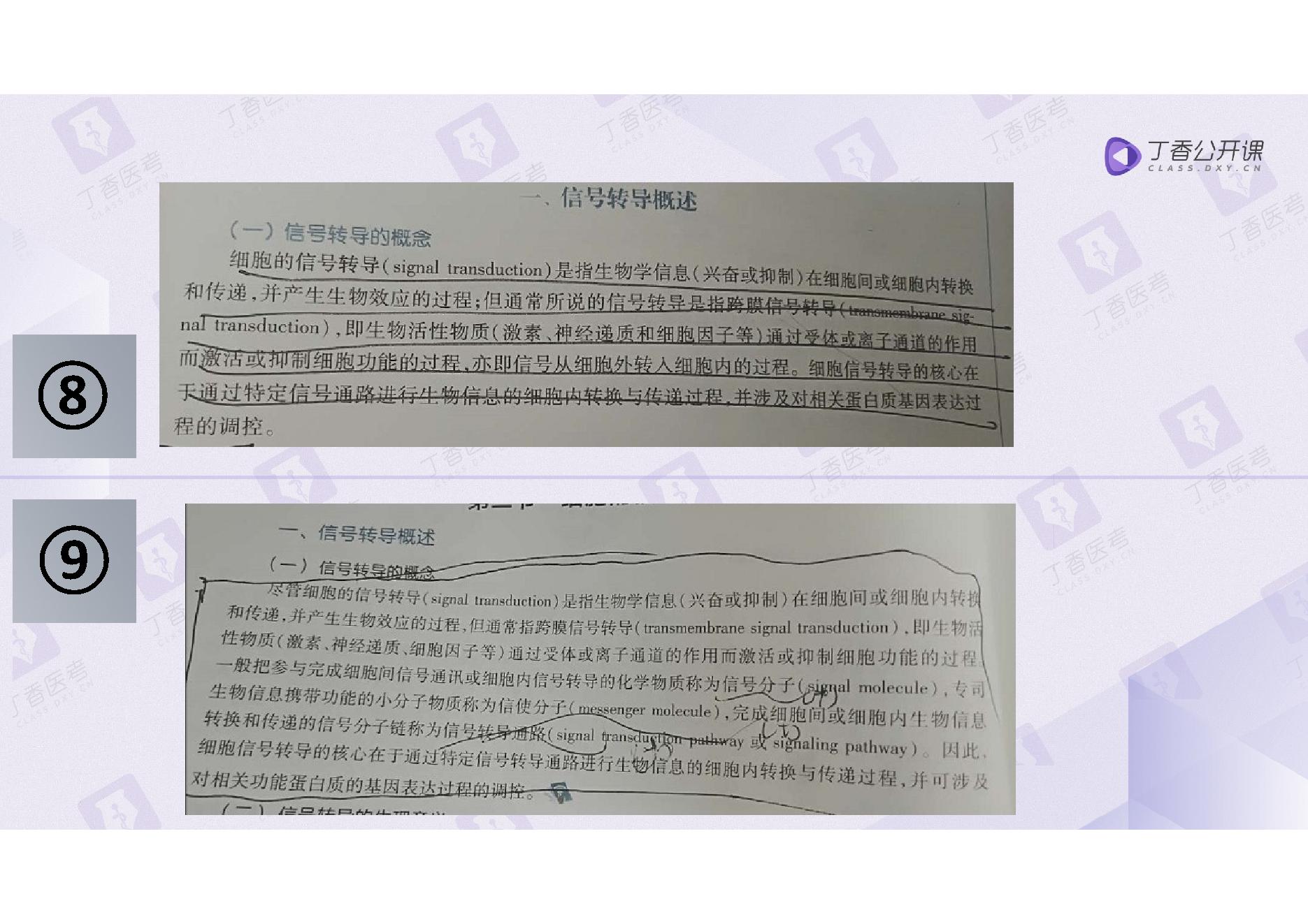 生理学.pdf_第12页