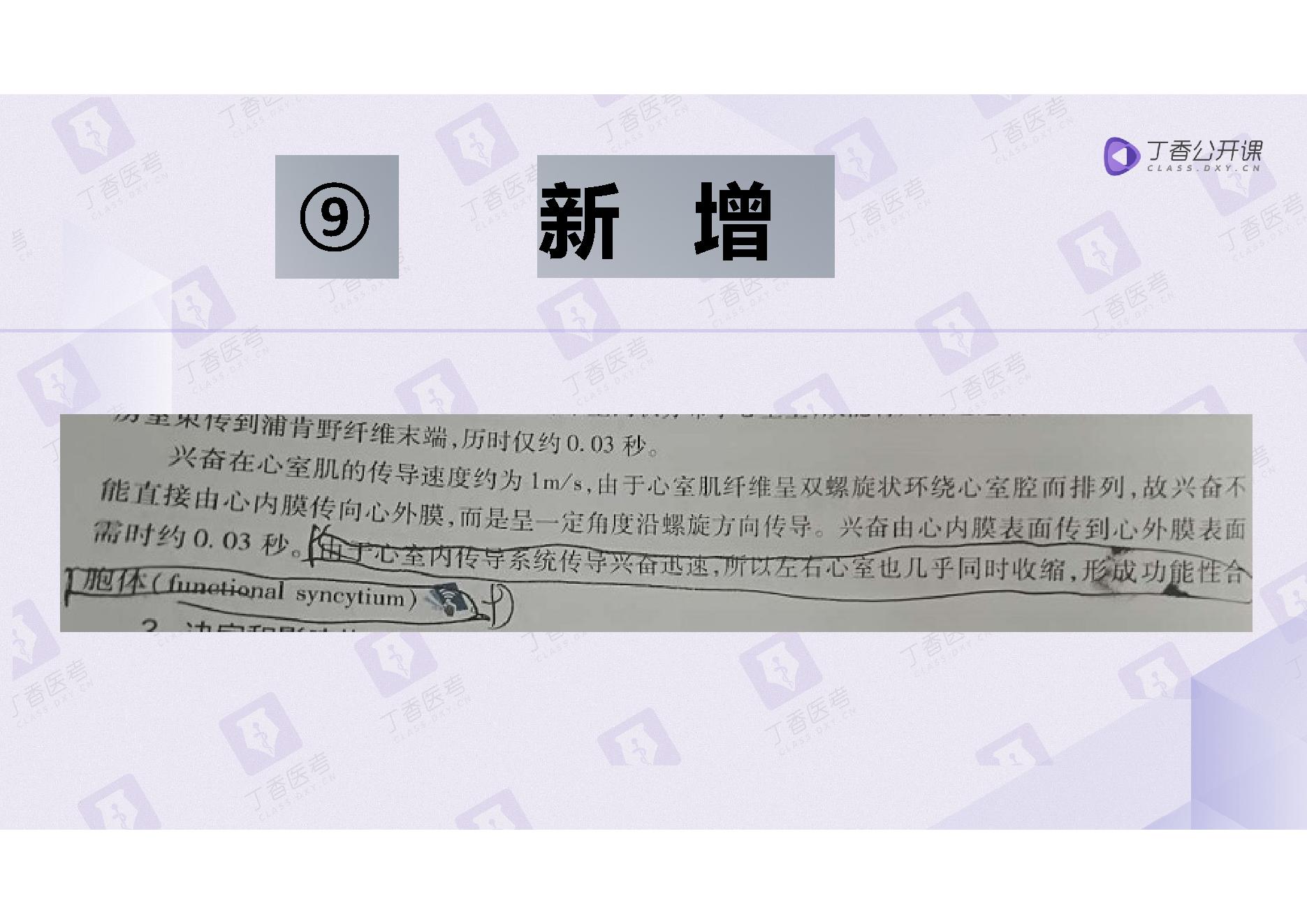 生理学.pdf_第23页