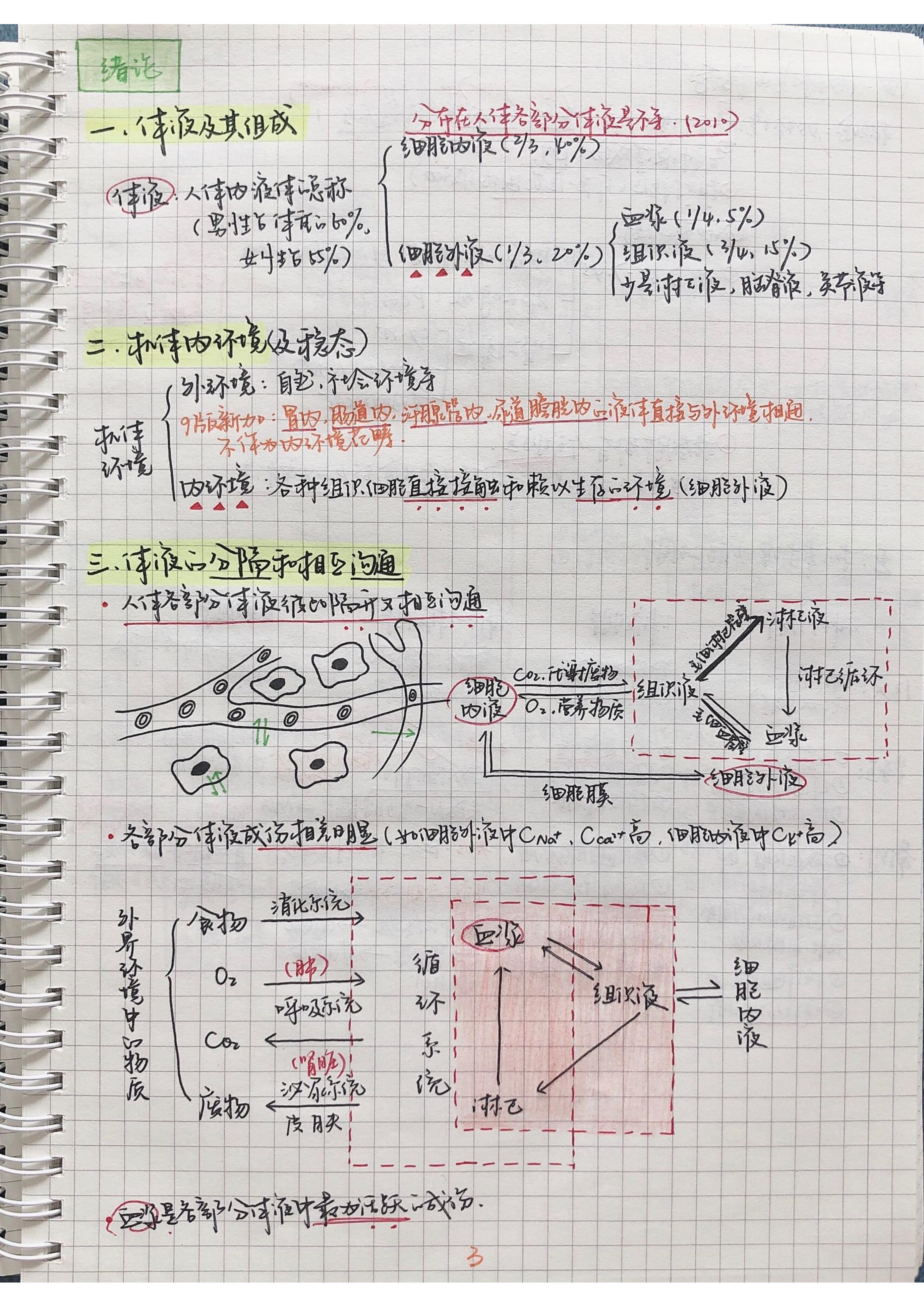 生理学笔记手写.pdf_第2页