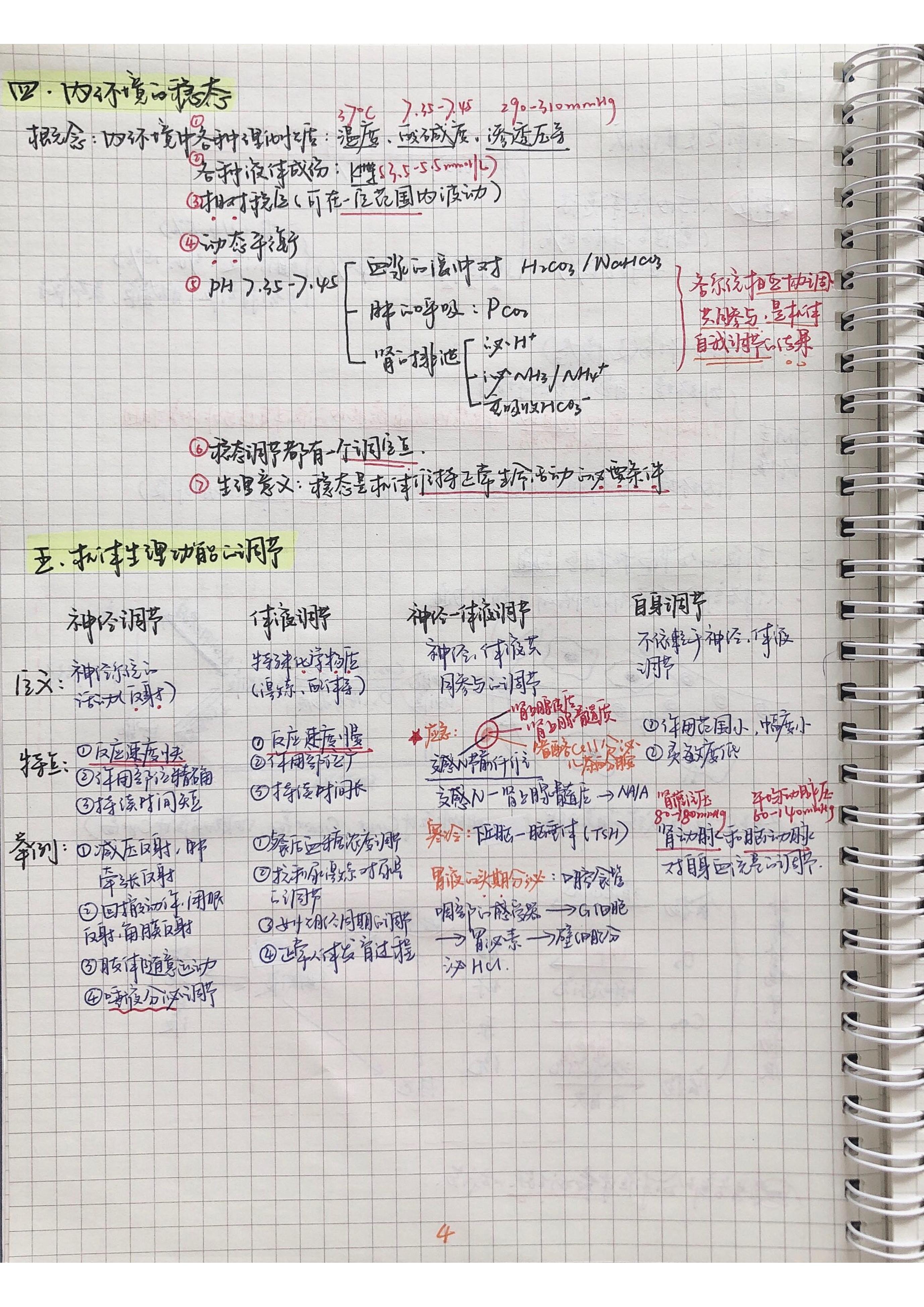 生理学笔记手写.pdf_第3页