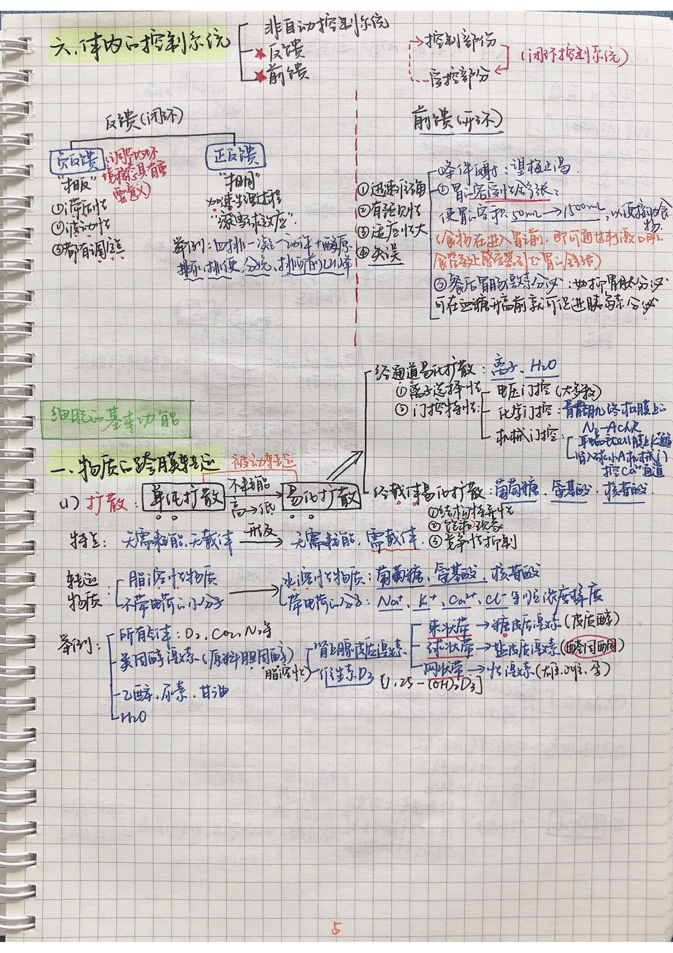 生理学笔记手写.pdf_第4页