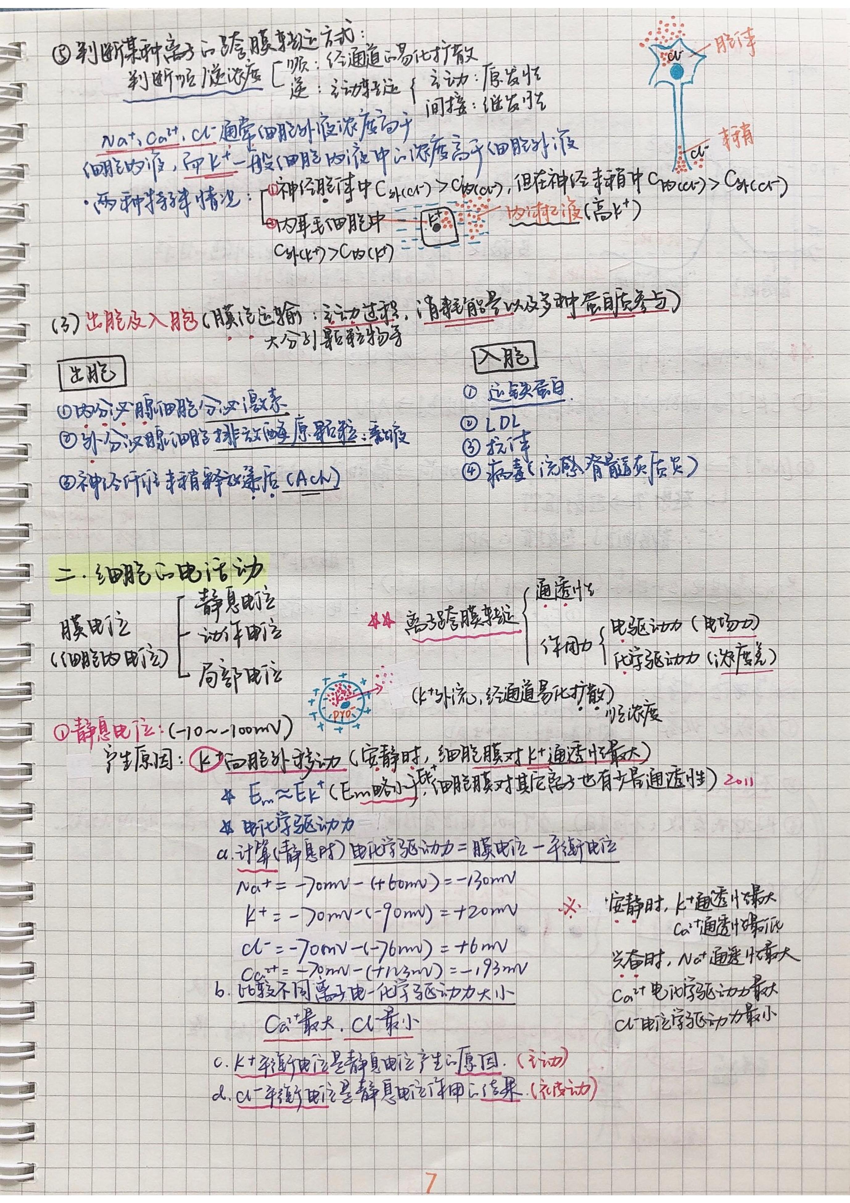 生理学笔记手写.pdf_第6页