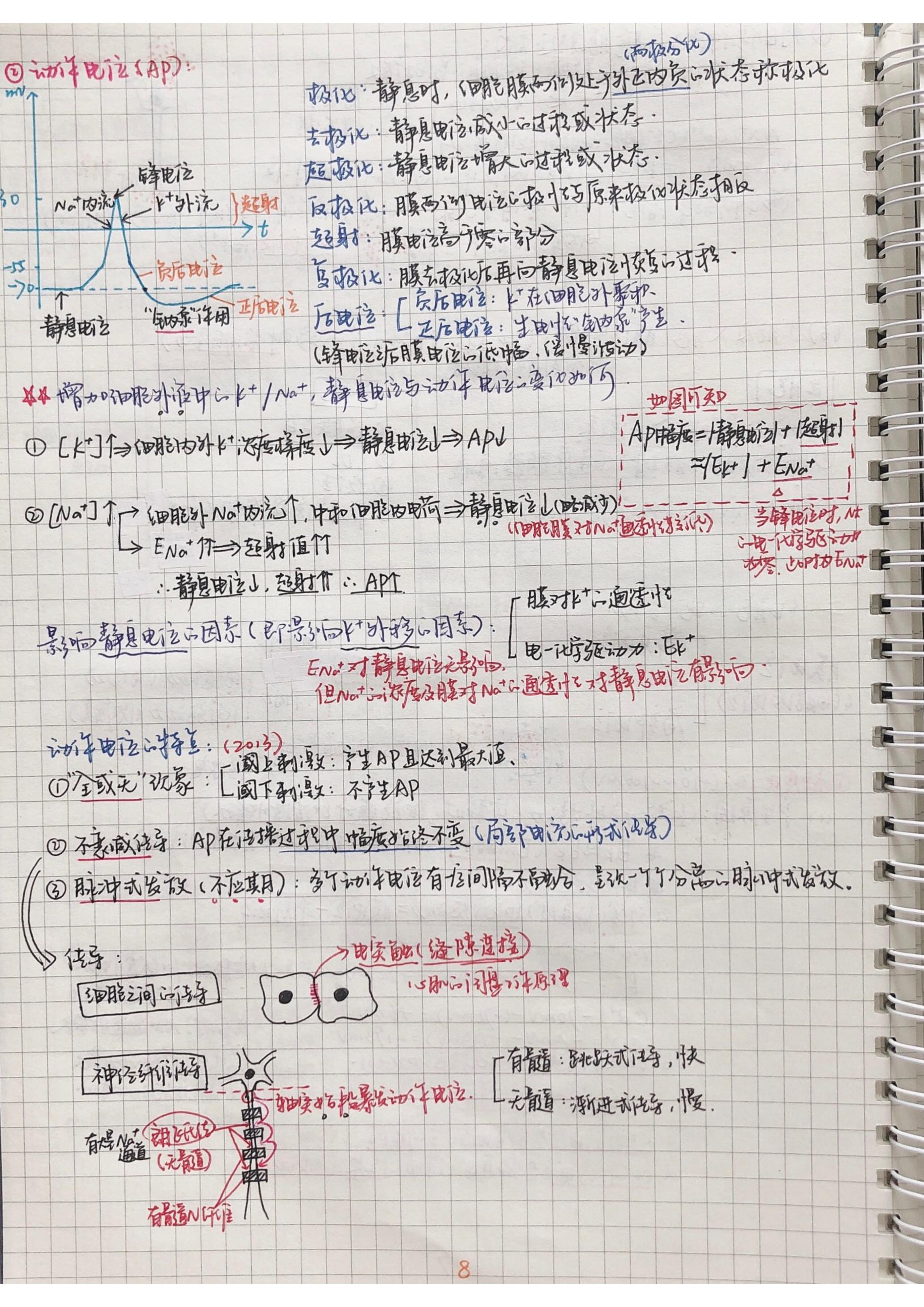 生理学笔记手写.pdf_第7页