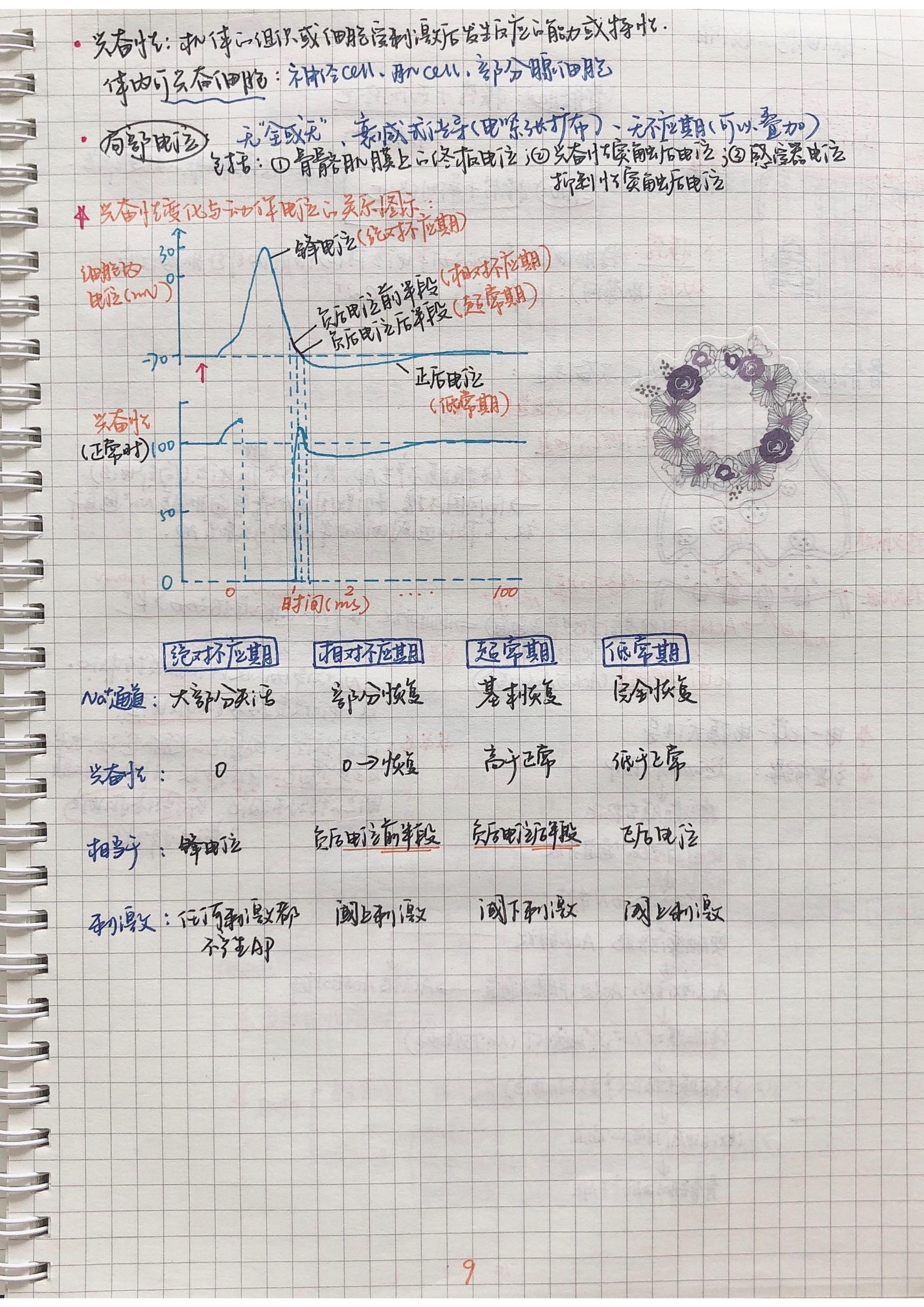 生理学笔记手写.pdf_第8页