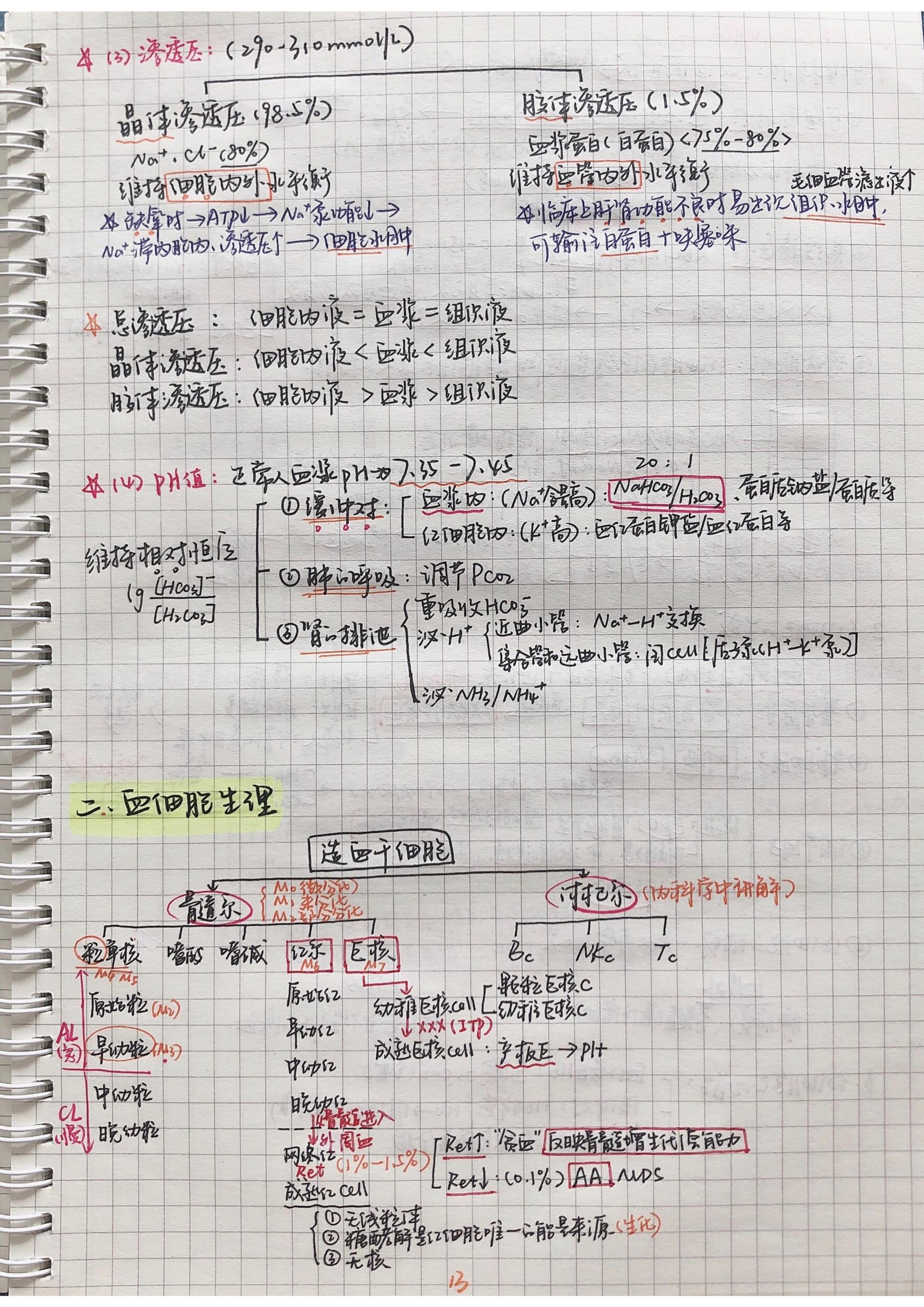 生理学笔记手写.pdf_第12页