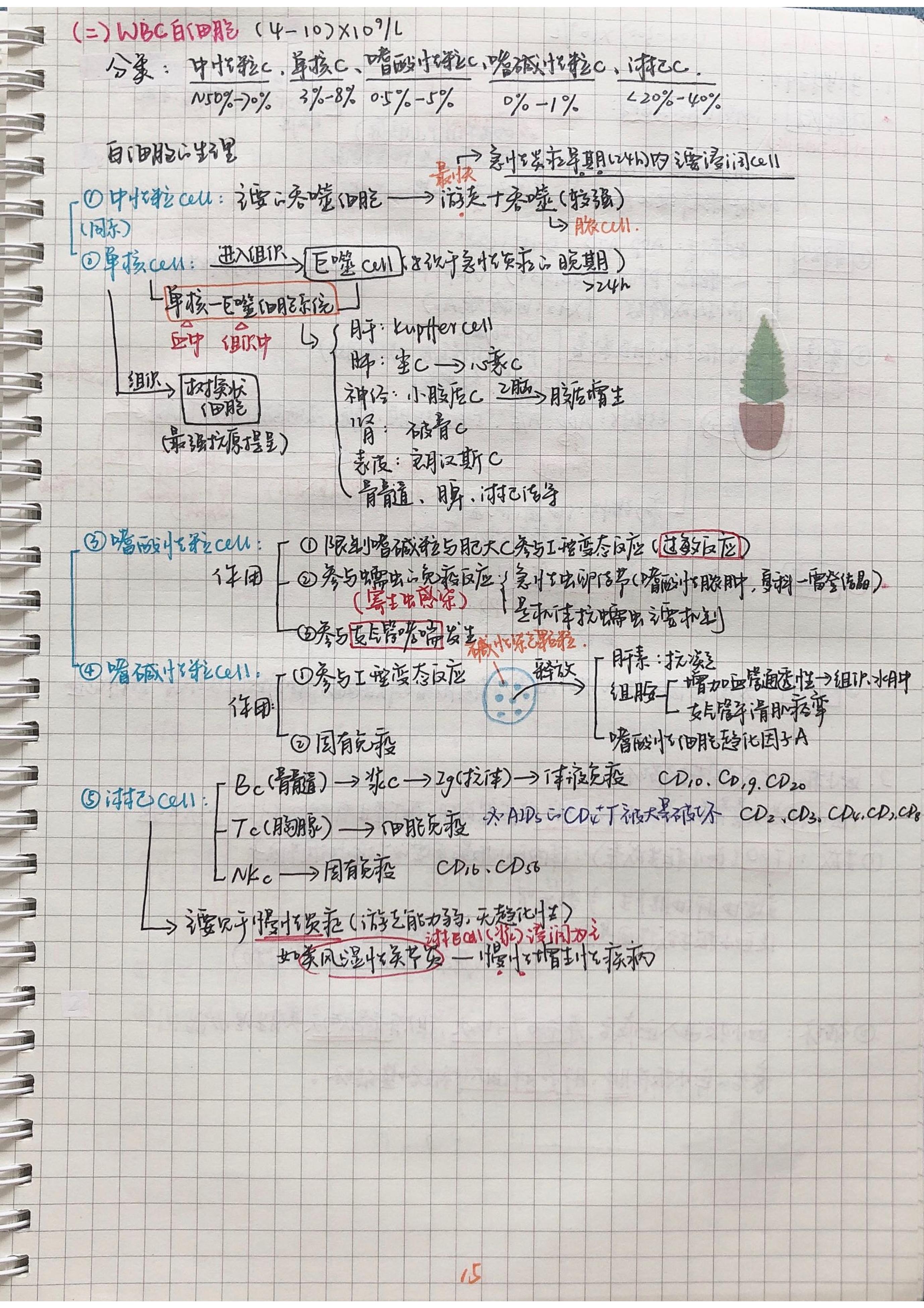 生理学笔记手写.pdf_第14页