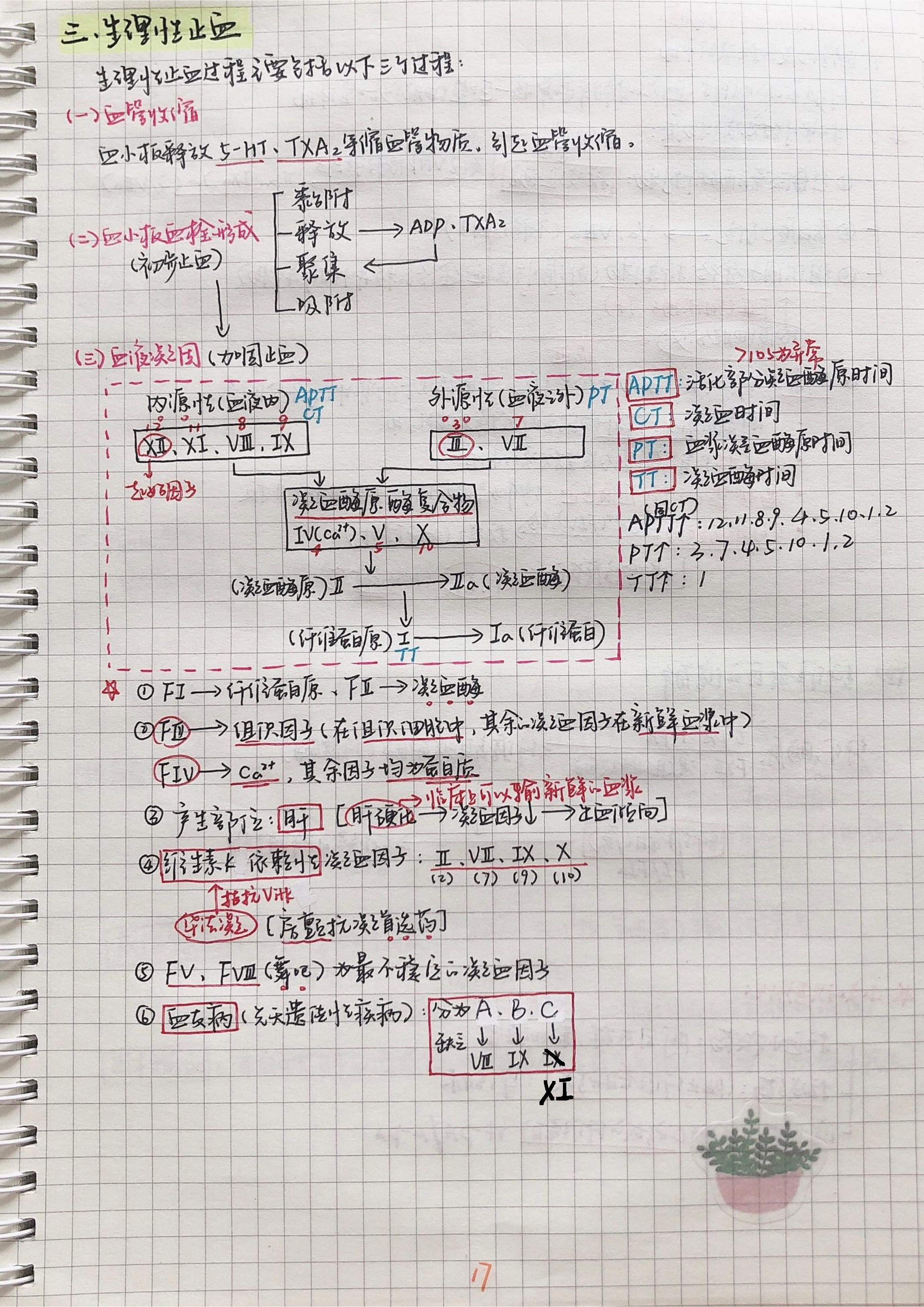 生理学笔记手写.pdf_第16页