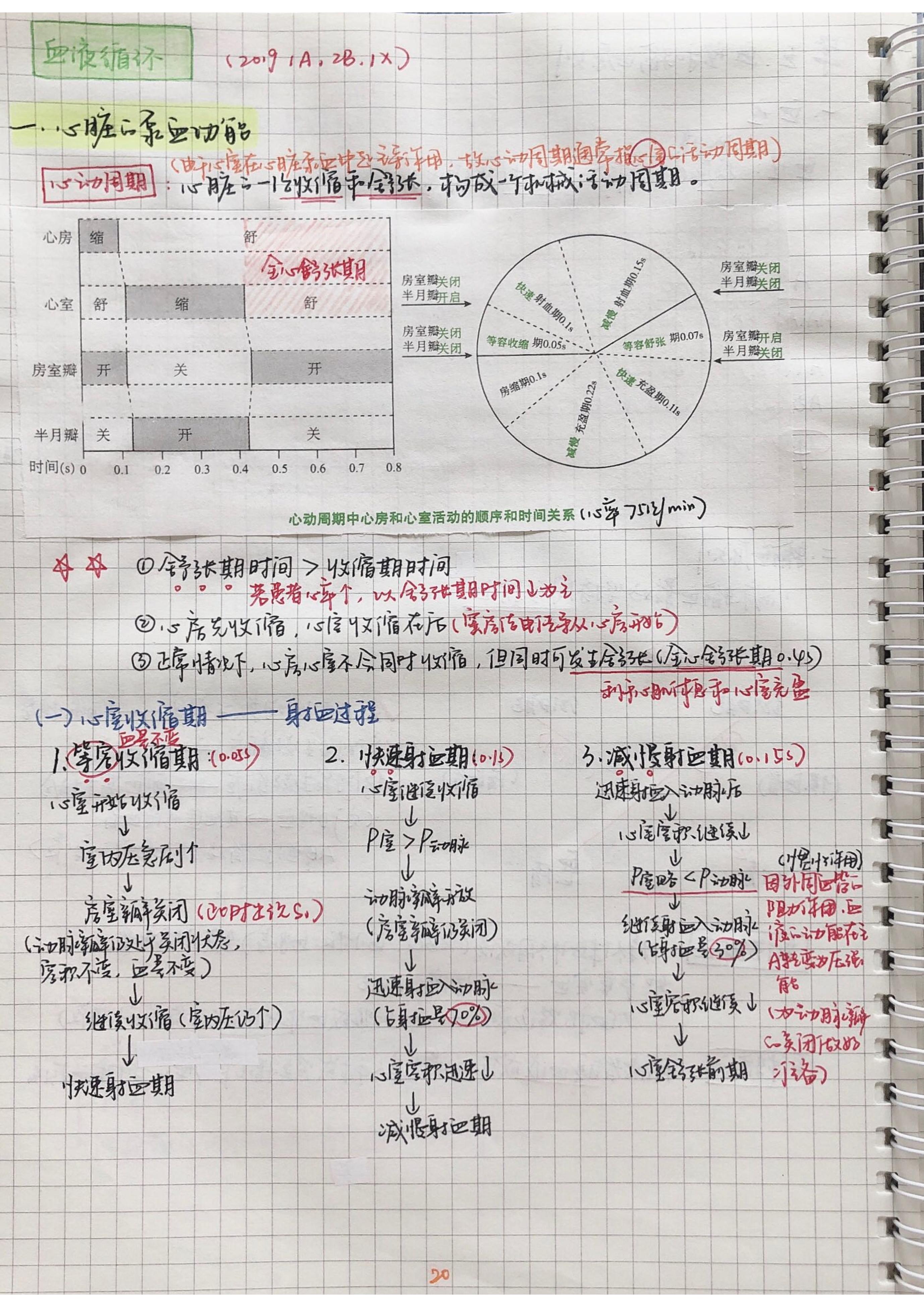 生理学笔记手写.pdf_第19页